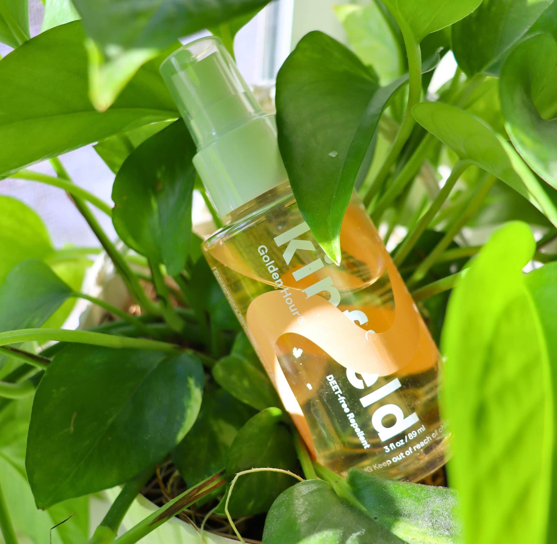 Image by Sustainable Jungle (Kinfield) (non-toxic-bug-spray)