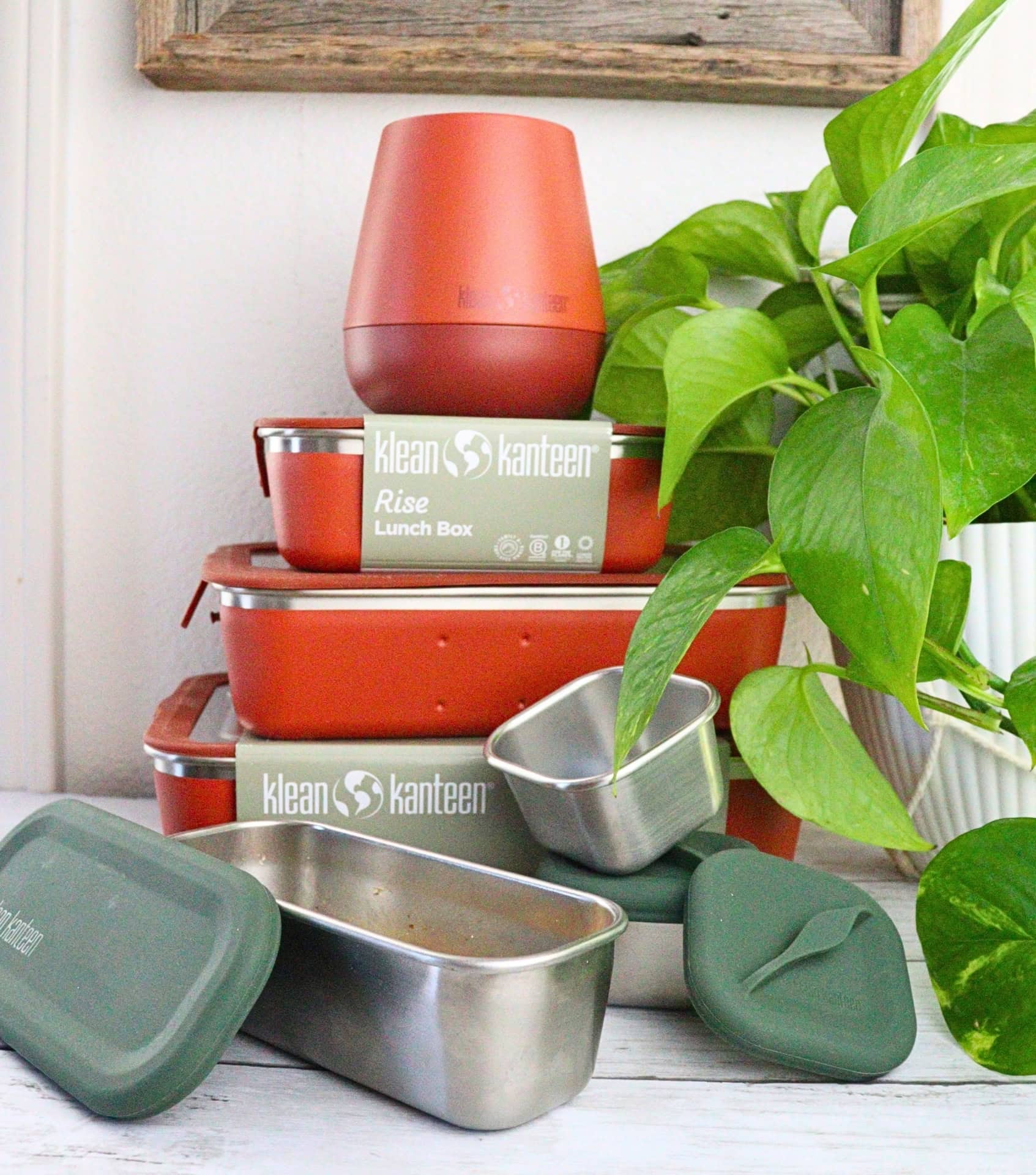 Image by Sustainable Jungle (Klean Kanteen) (eco-friendly-lunch-boxes-bags) (2)
