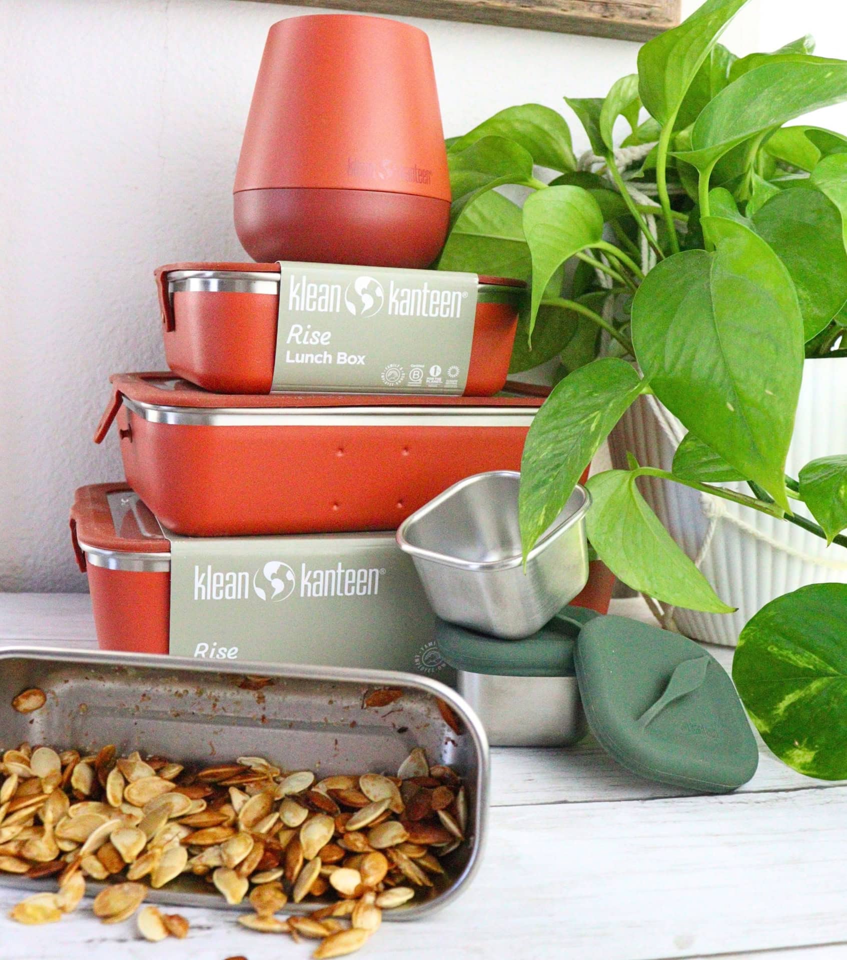 Image by Sustainable Jungle (Klean Kanteen) (non-toxic-food-storage-containers) (2)