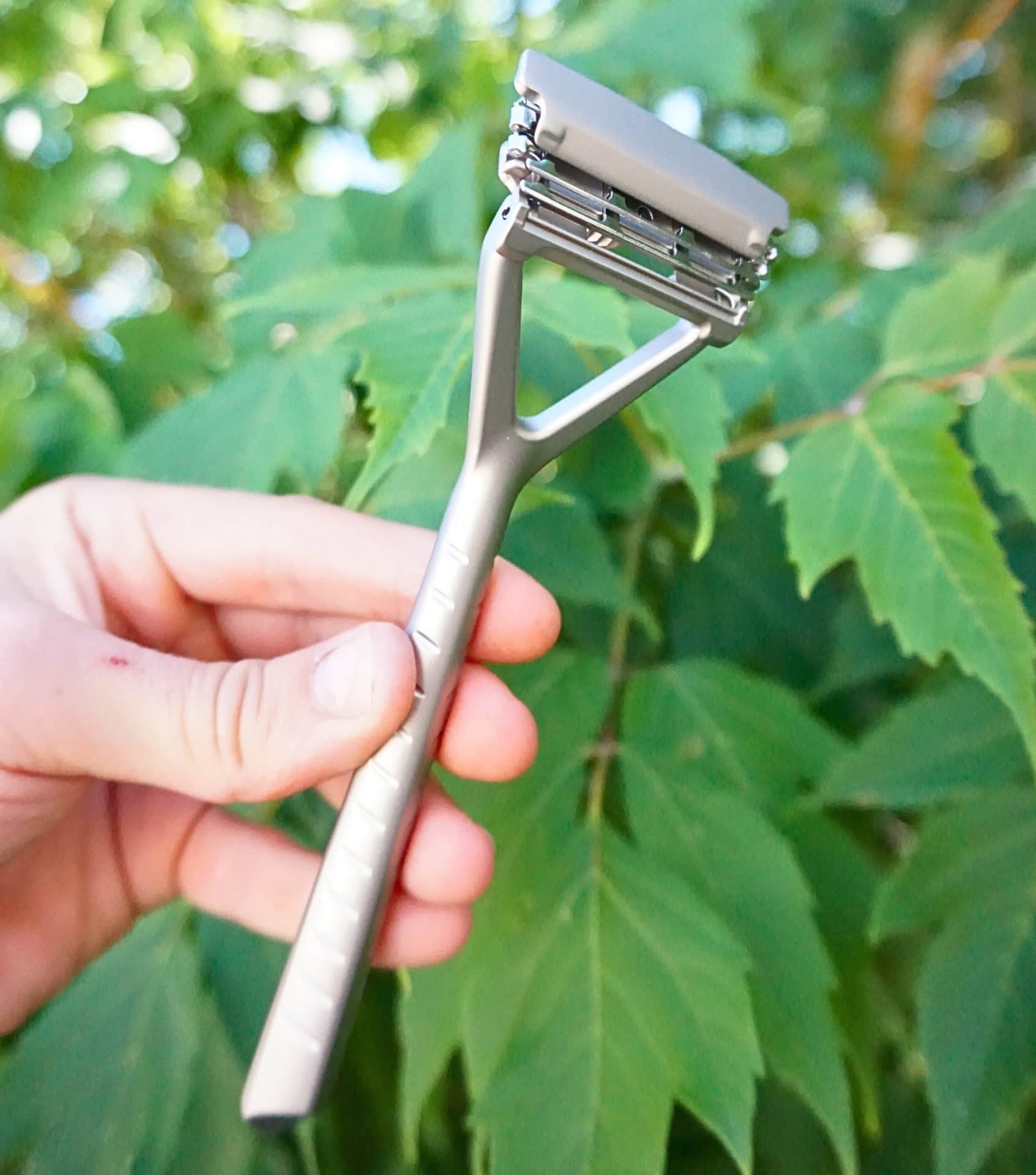 Image by Sustainable Jungle (Leaf) (sustainable-womens-razors)