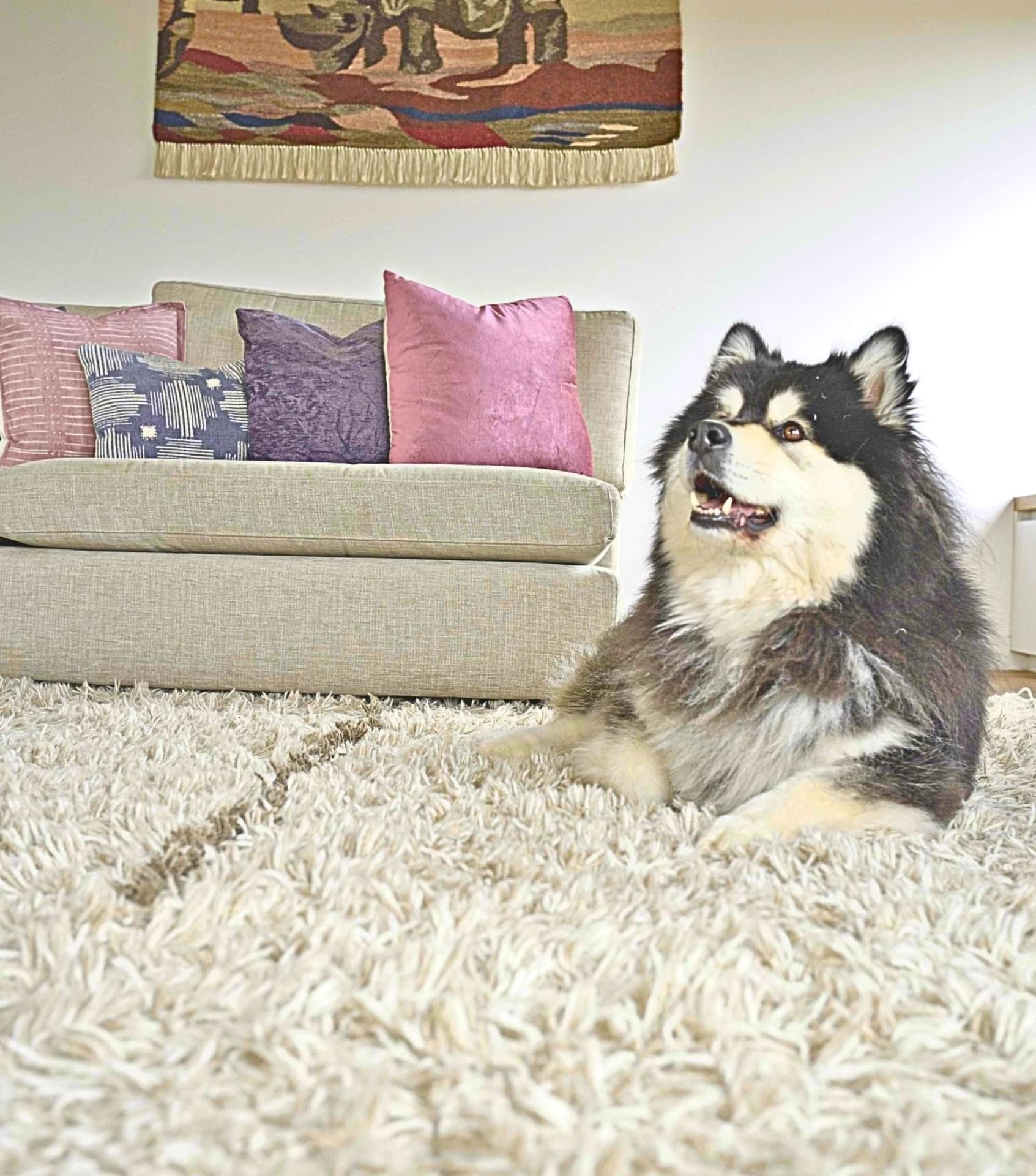 Image by Sustainable Jungle (Lorena Canals) (non-toxic-rugs) (2)