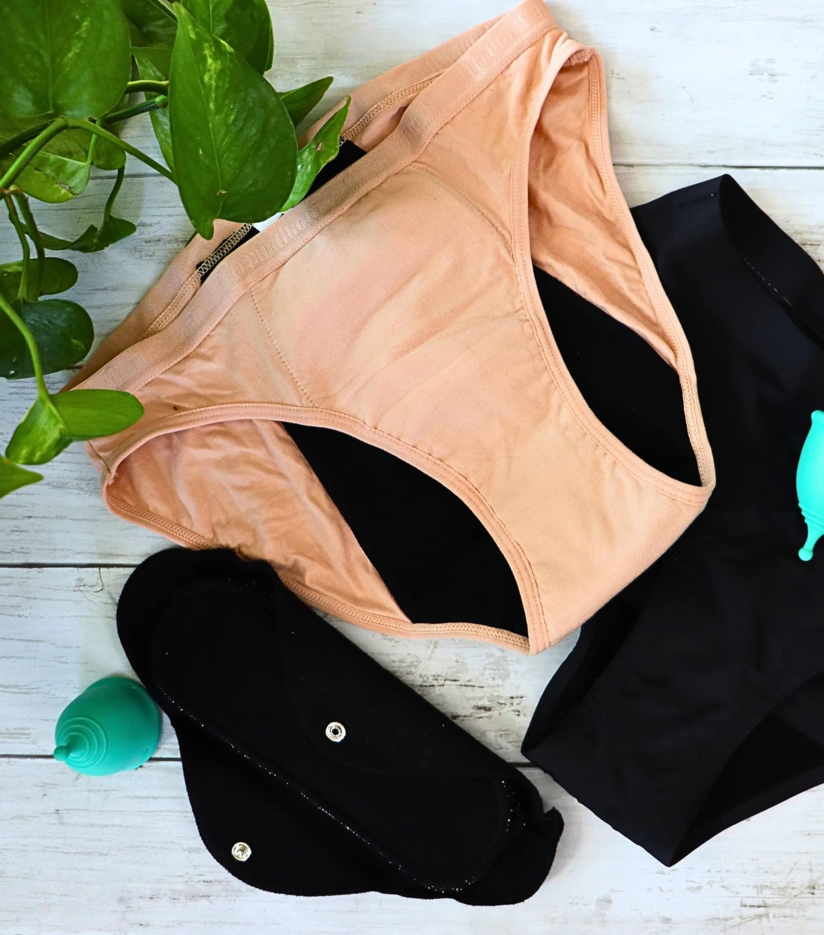Image by Sustainable Jungle (Modibodi) (sustainable-period-underwear)