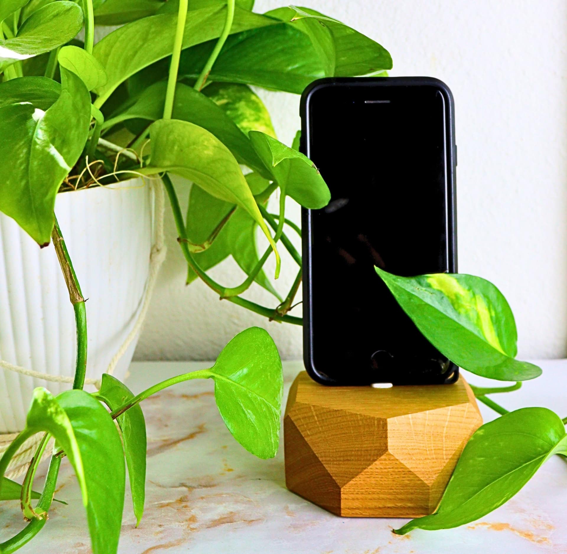 Image by Sustainable Jungle (Oakywood) (eco-friendly-chargers)