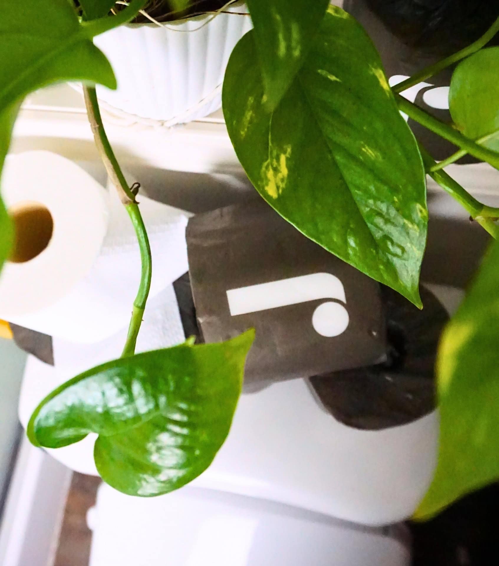 Image by Sustainable Jungle (Reel) (best-bamboo-toilet-paper)