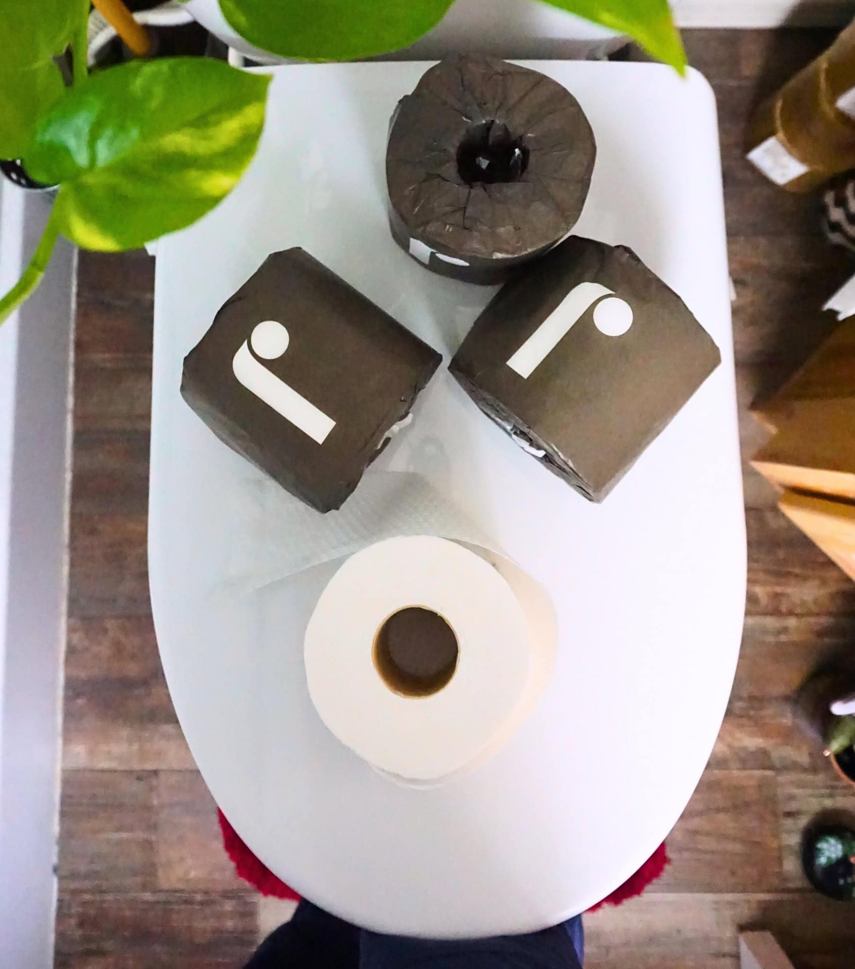 Image by Sustainable Jungle (Reel) (eco-friendly-toilet-paper) (2)