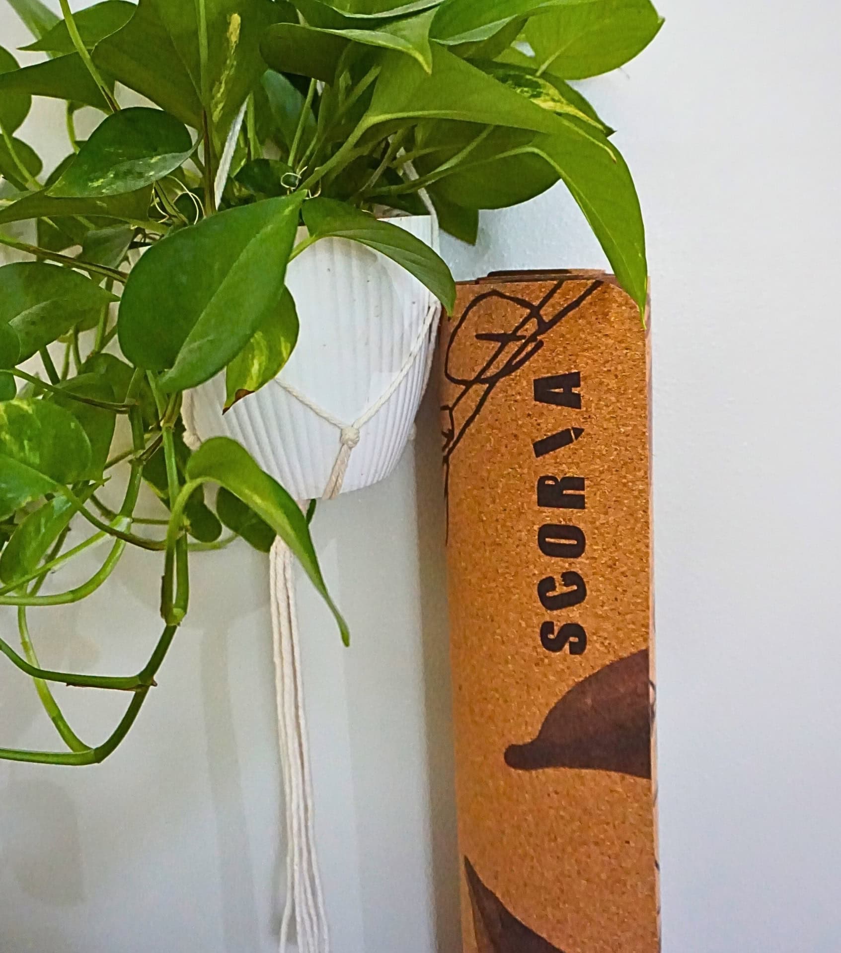 Image by Sustainable Jungle (Scoria) (non-toxic-yoga-mats)