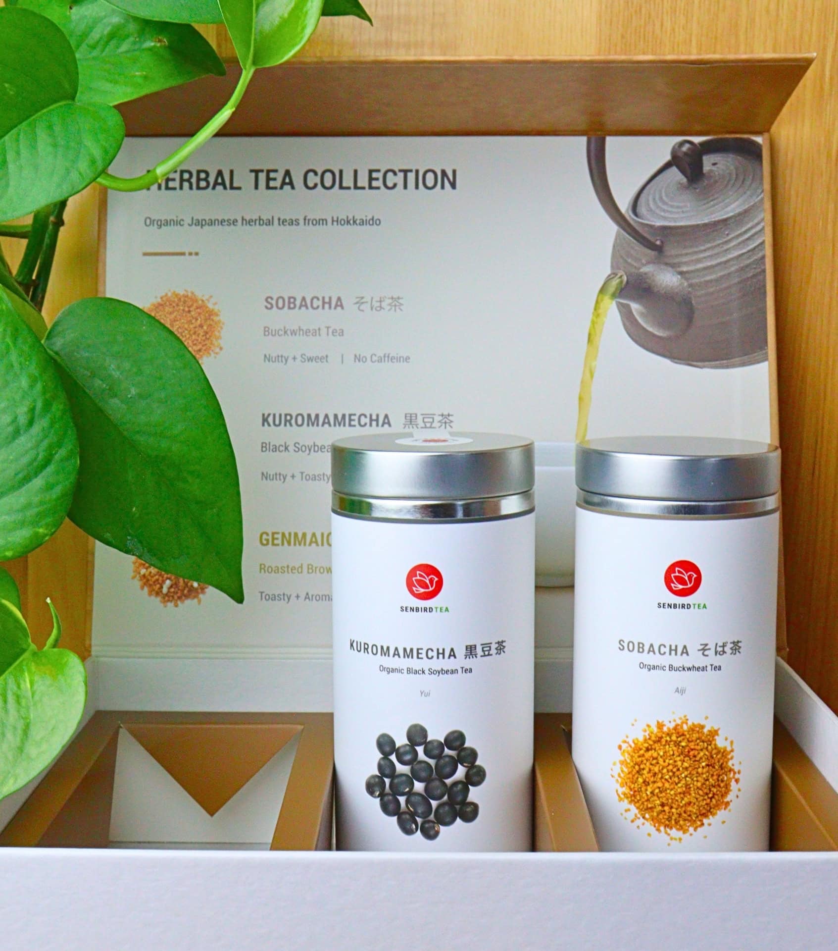 Image by Sustainable Jungle (Senbird) (sustainable-tea)