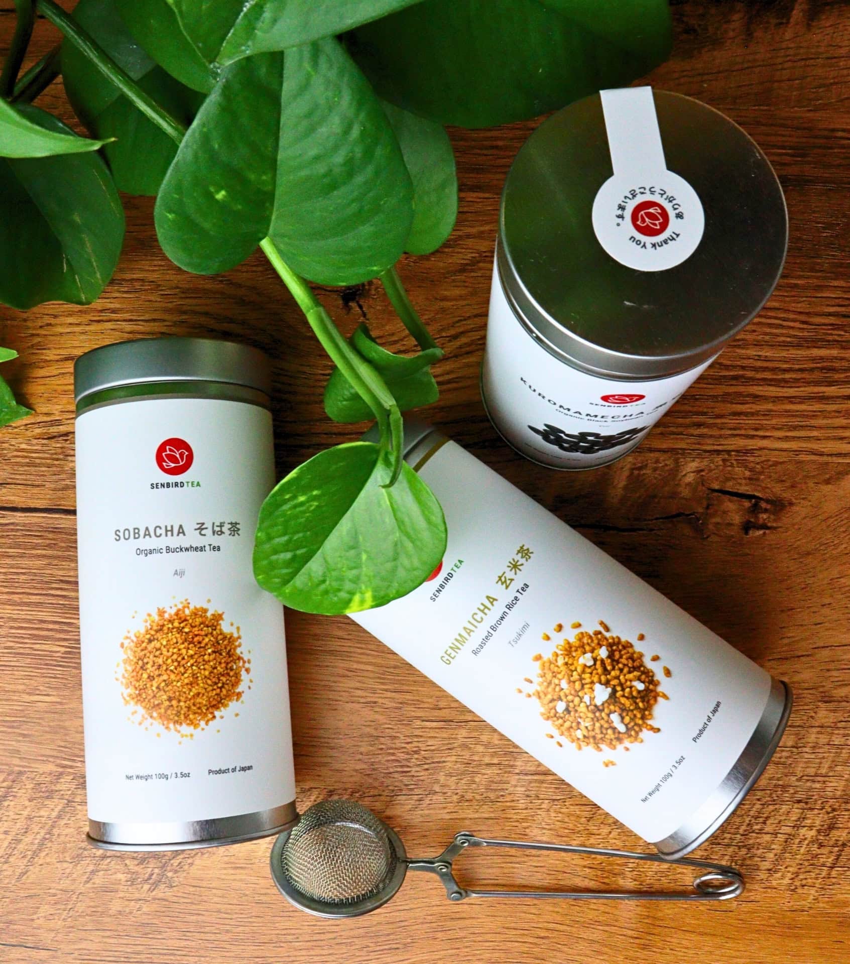 Image by Sustainable Jungle (Senbird) (sustainable-tea) (2)