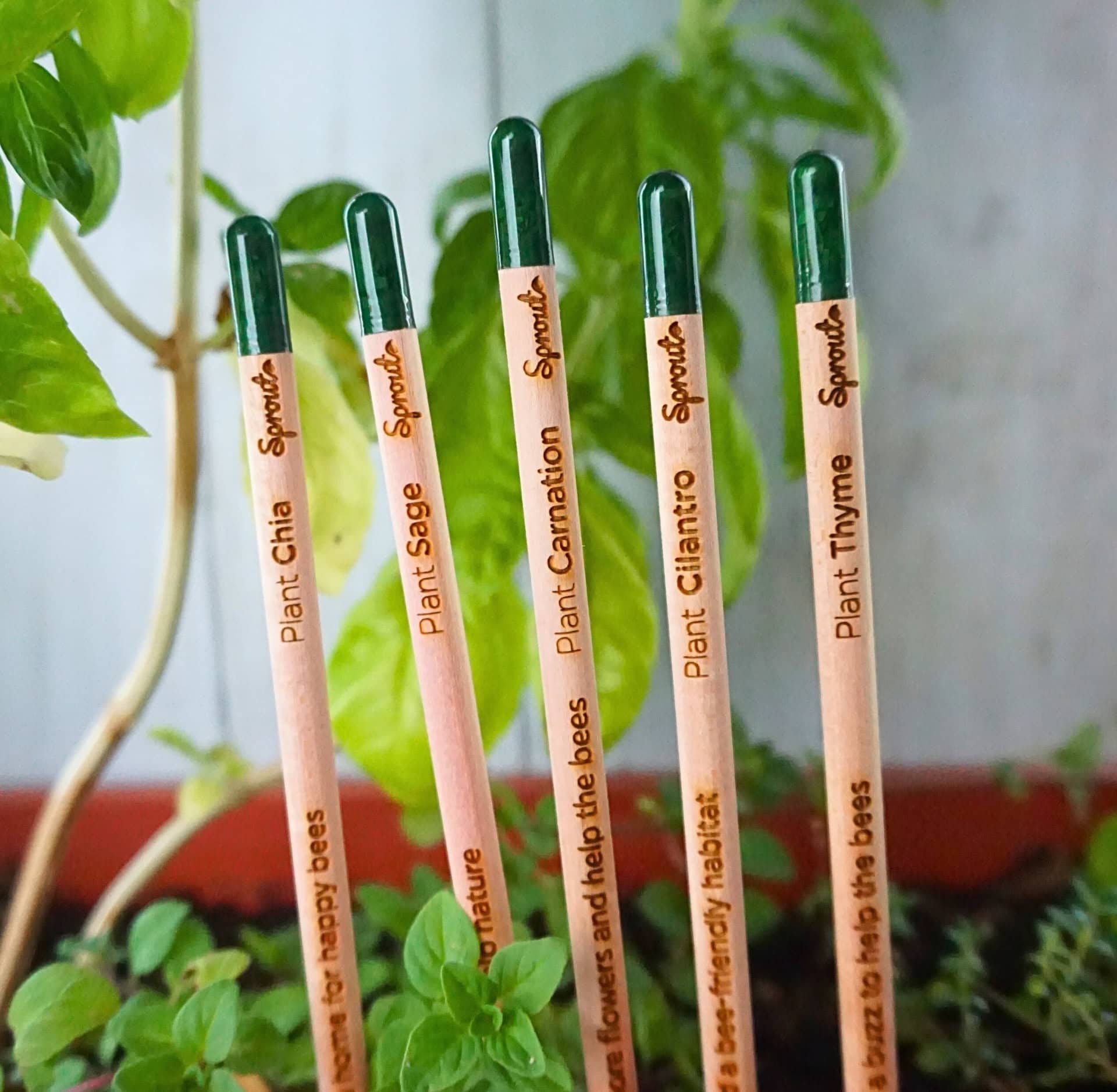 Image by Sustainable Jungle (Sprout) (eco-friendly-school-supplies)