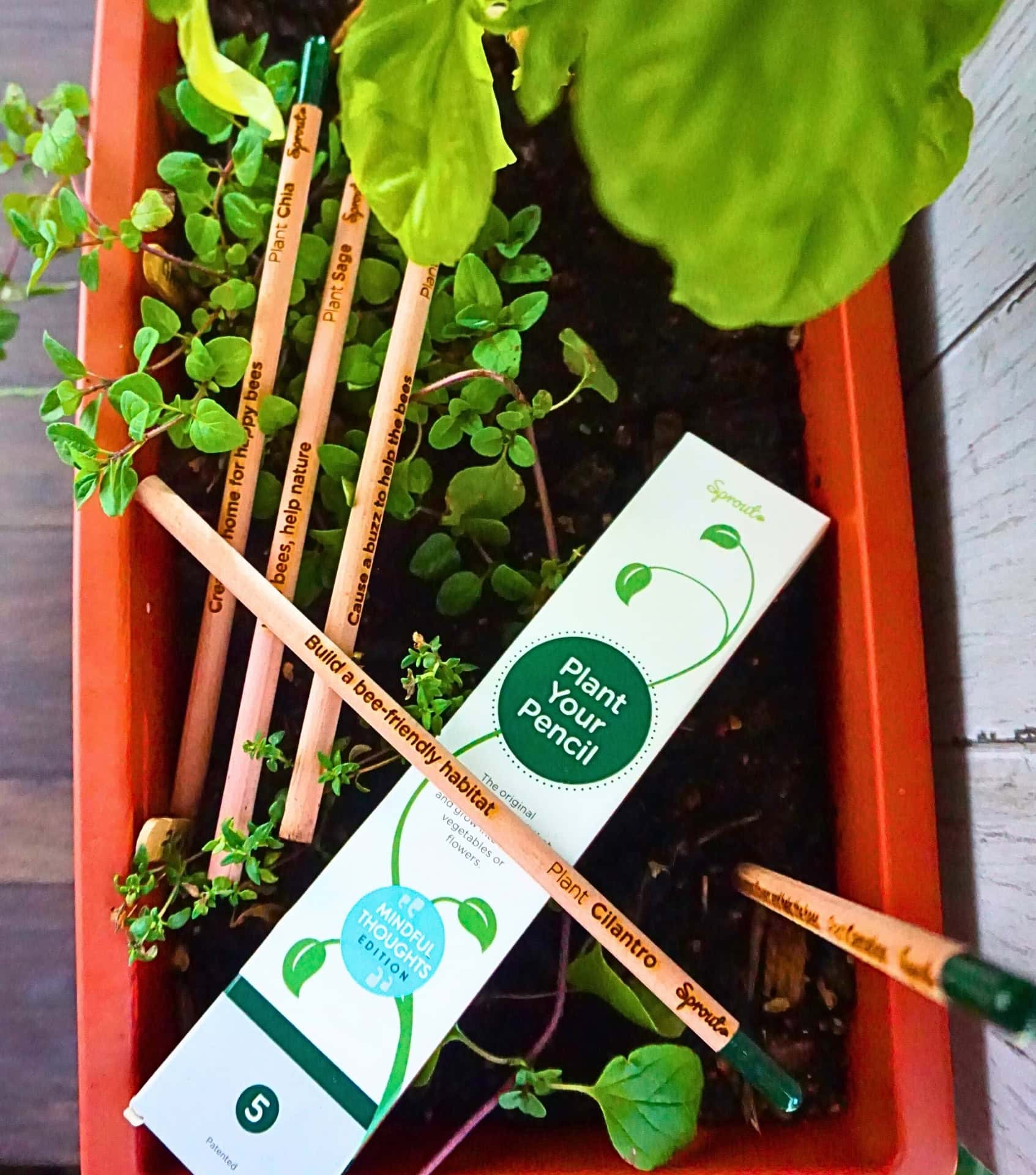 Image by Sustainable Jungle (Sprout) (eco-friendly-school-supplies) (2)