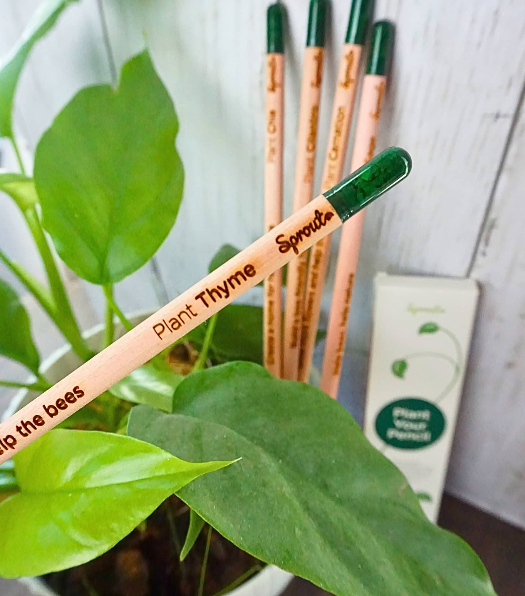 Image by Sustainable Jungle (Sprout) (eco-friendly-school-supplies)