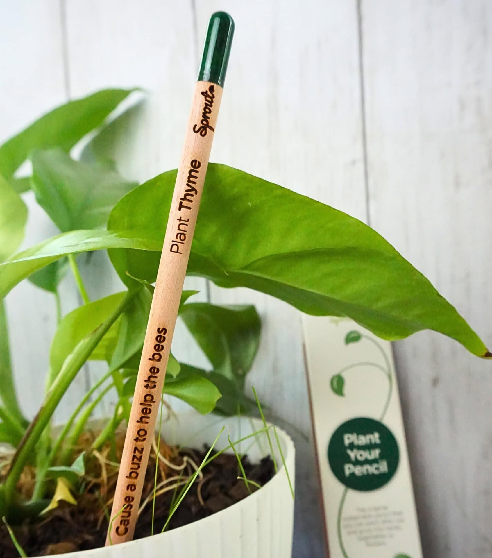 Image by Sustainable Jungle (Sprout) (zero-waste-products)