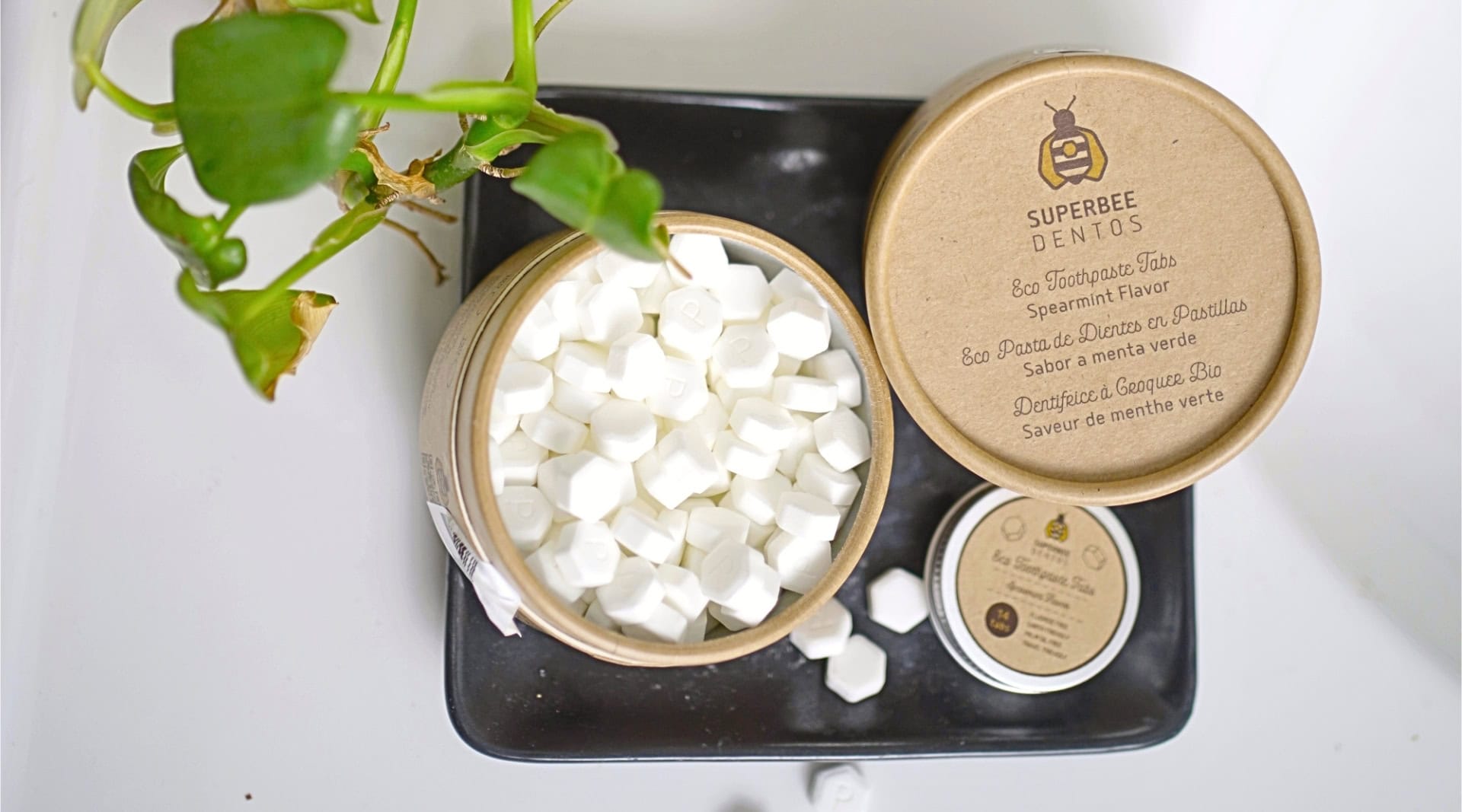 Image by Sustainable Jungle (SuperBee) (natural-toothpaste)