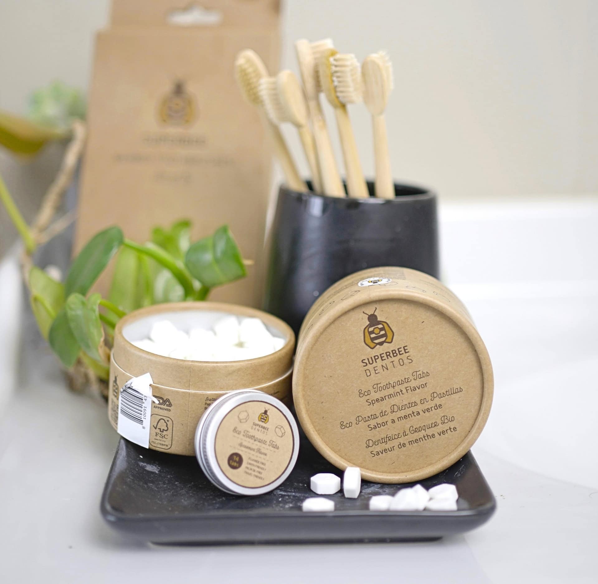 Image by Sustainable Jungle (SuperBee) (natural-toothpaste)