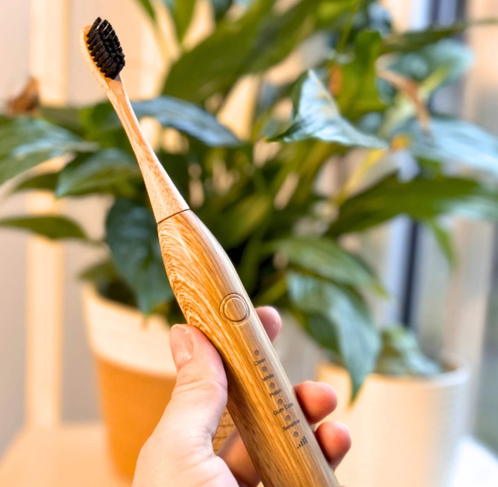 Image by Sustainable Jungle (Sustainable Tomorrow) (bamboo-electric-toothbrush)