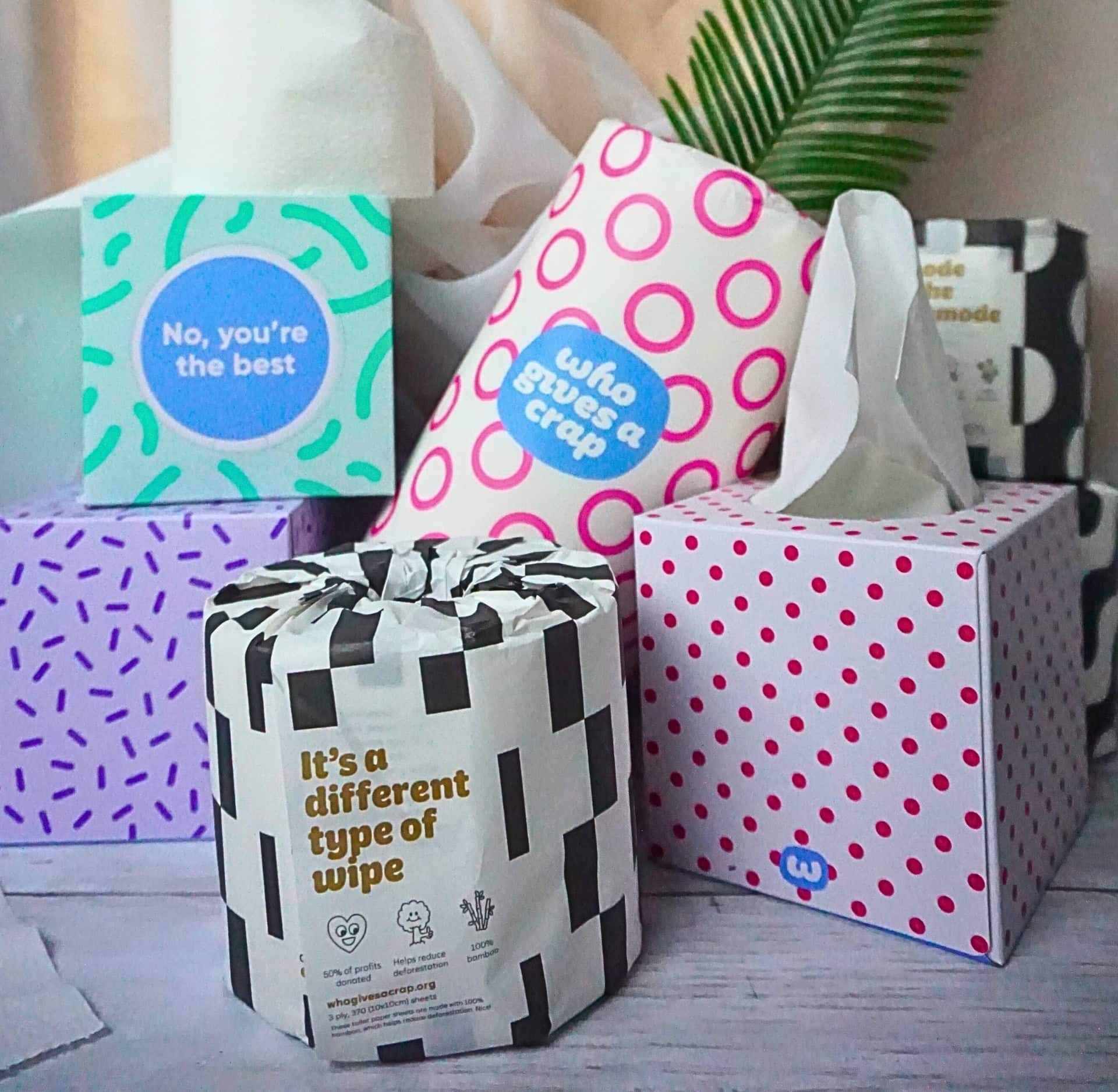 Image by Sustainable Jungle (Who Gives A Crap) (brands-that-give-back)