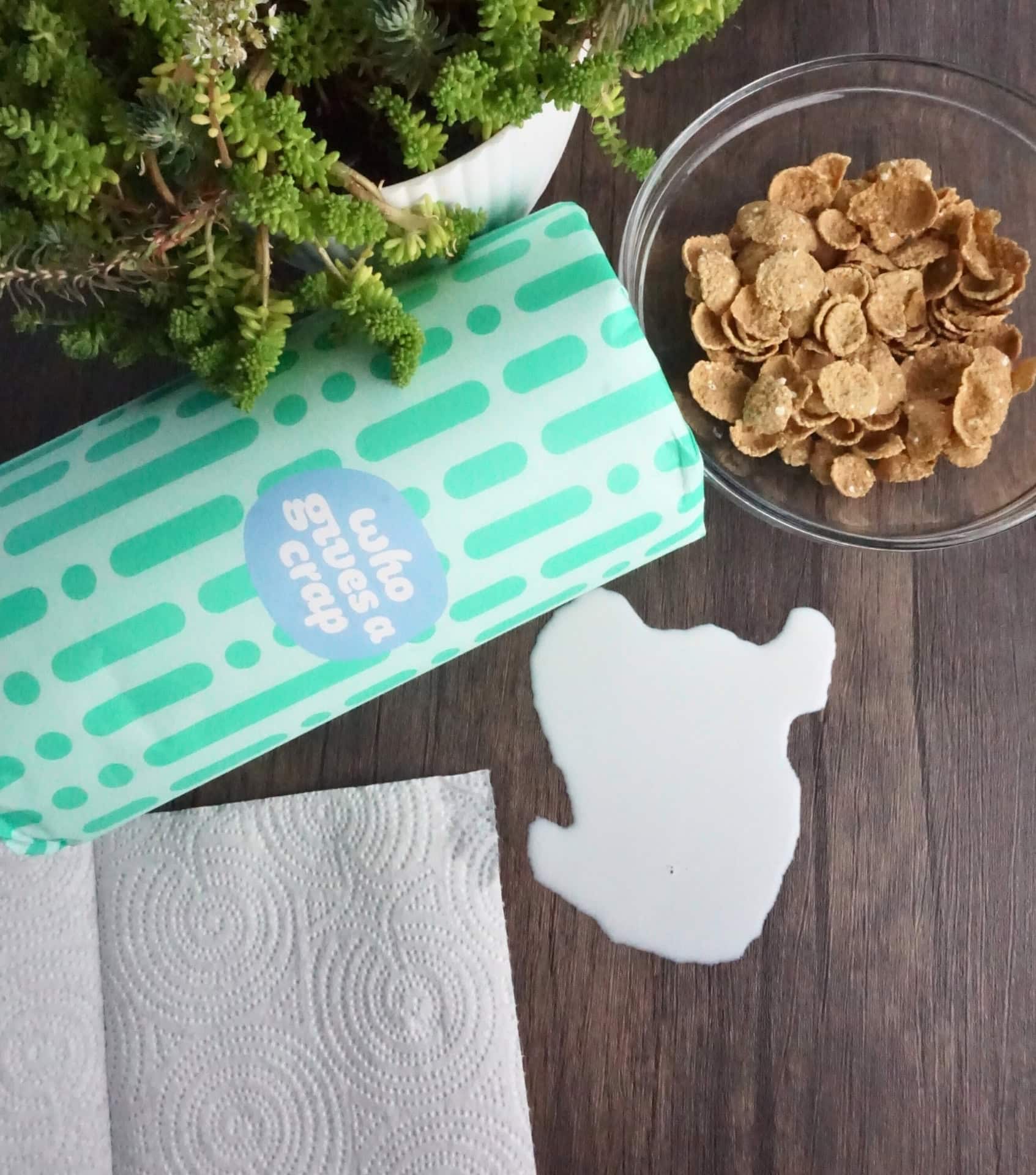 Image by Sustainable Jungle (Who Gives A Crap) (eco-friendly-paper-towels)