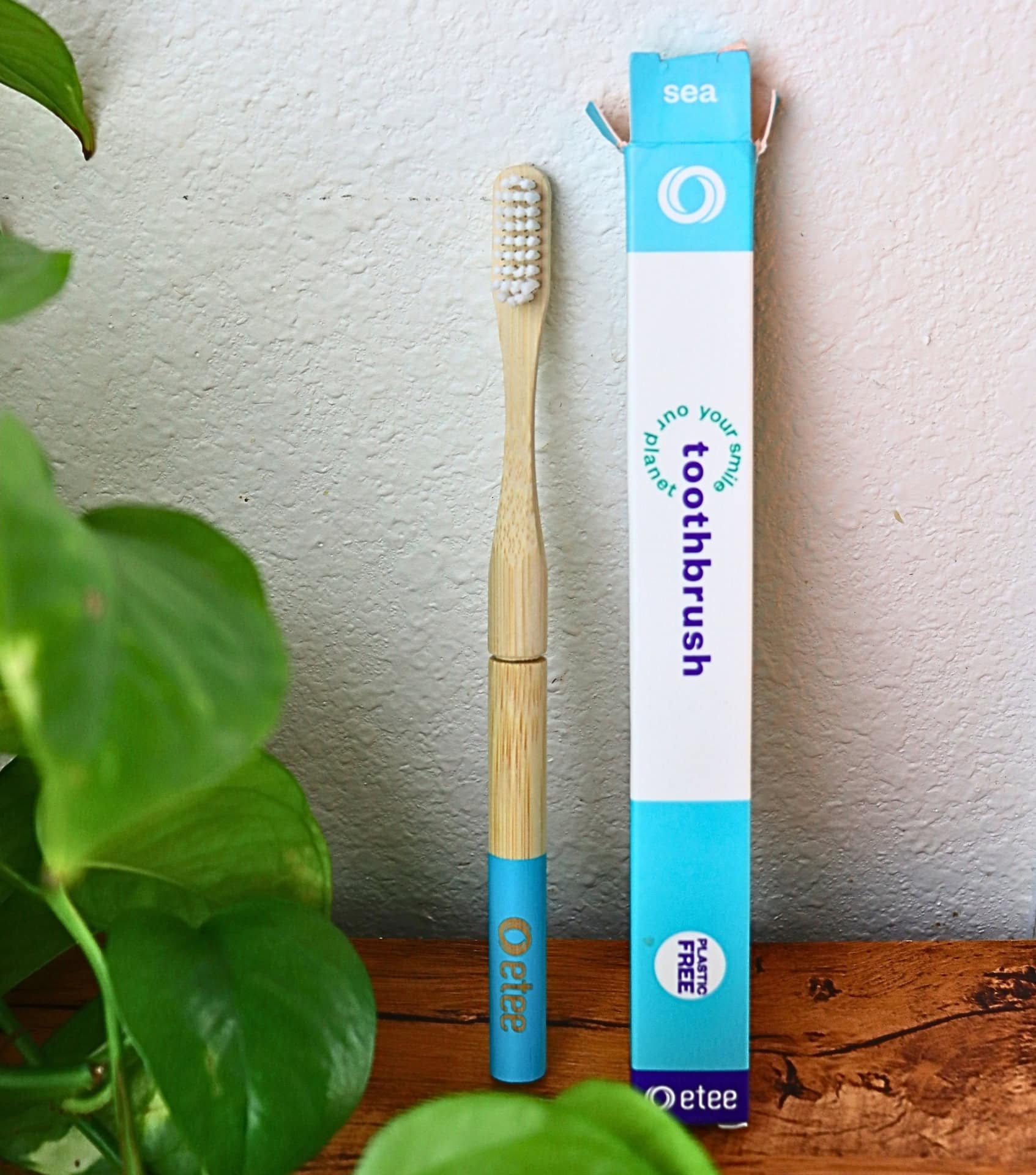 Image by Sustainable Jungle (etee) (eco-friendly-bathroom-products)