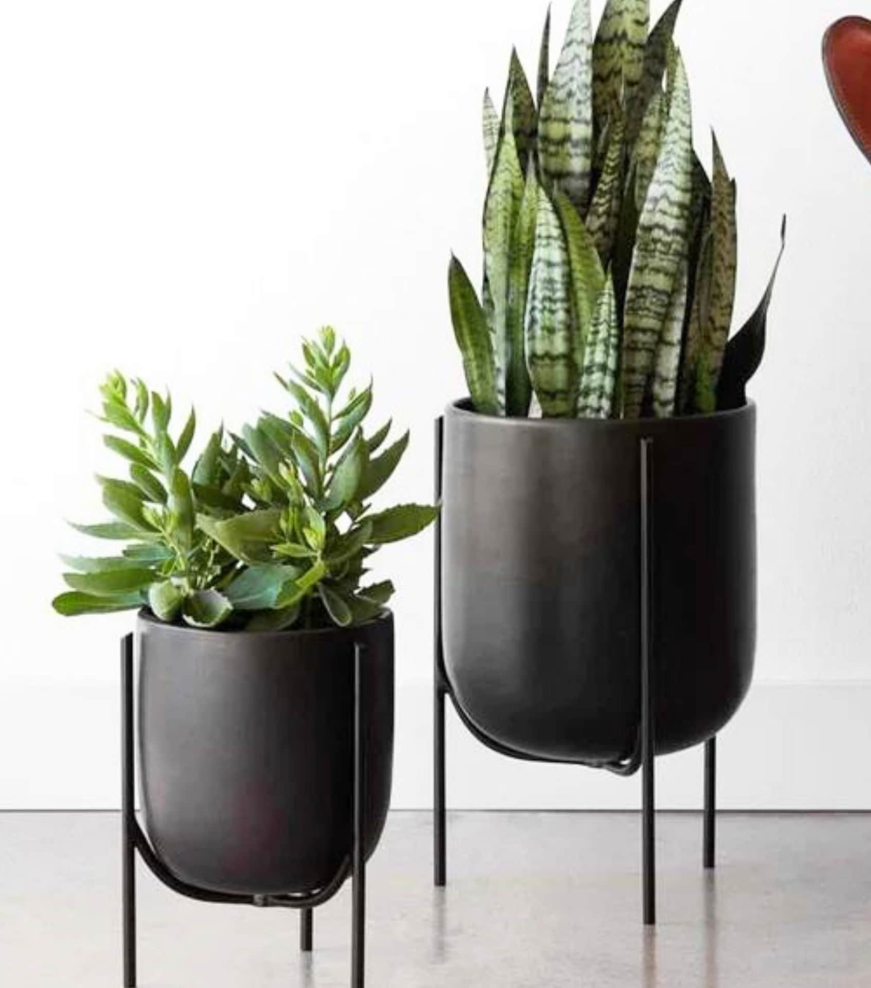 Image by The Citizenry (sustainable-planters) (2)