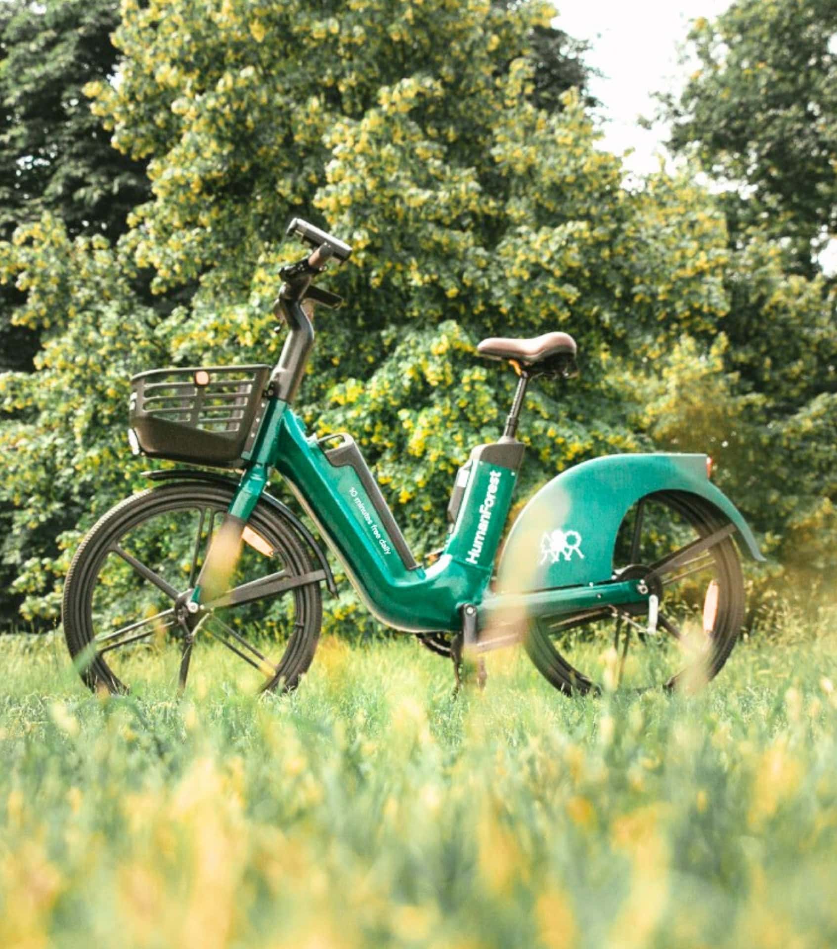 Image by Triodos Bank (ethical-banks) (2)