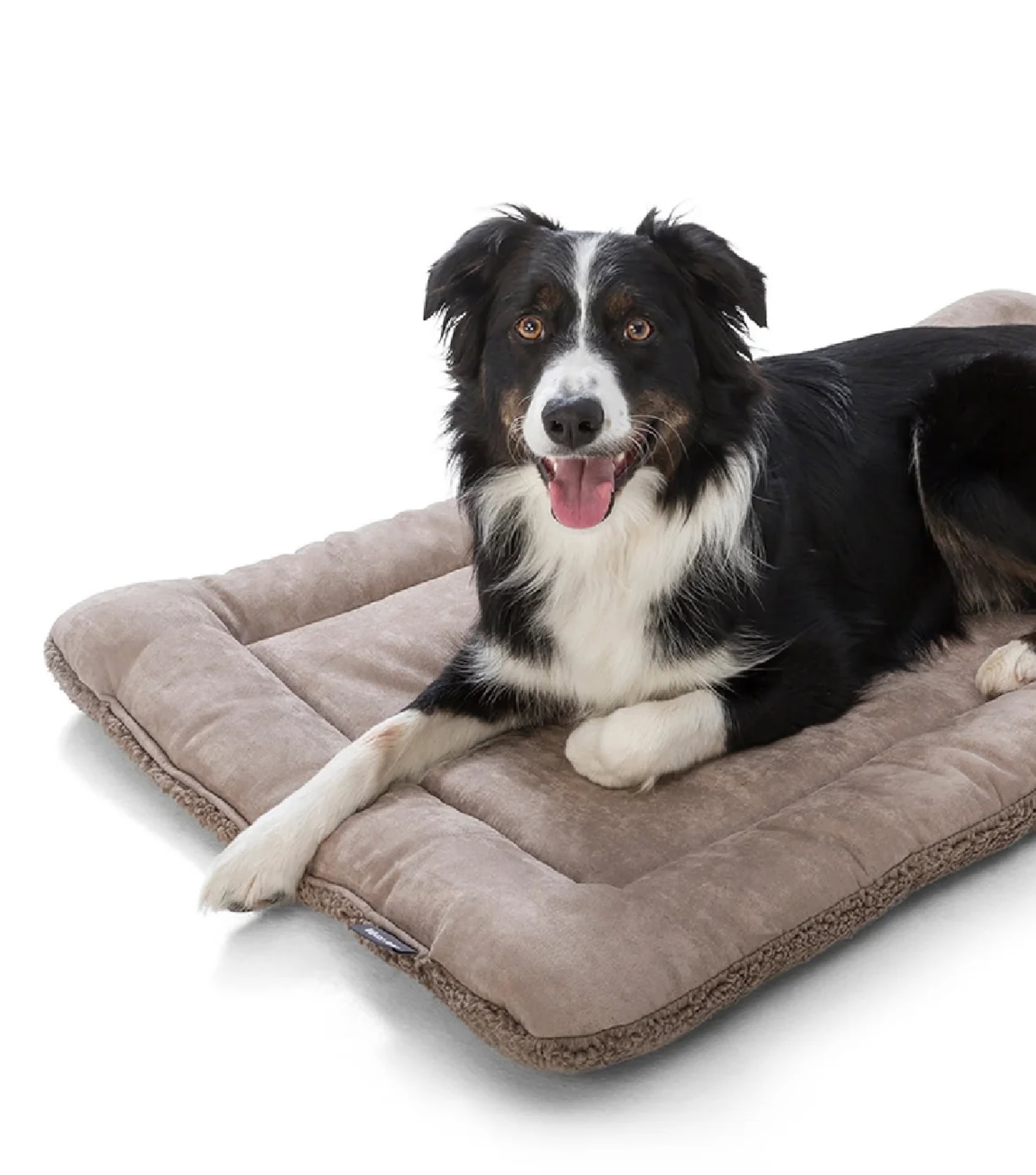 Happy dog resting on a soft, sustainable pet bed made by West Paw with recycled materials and designed for comfort and longevity.