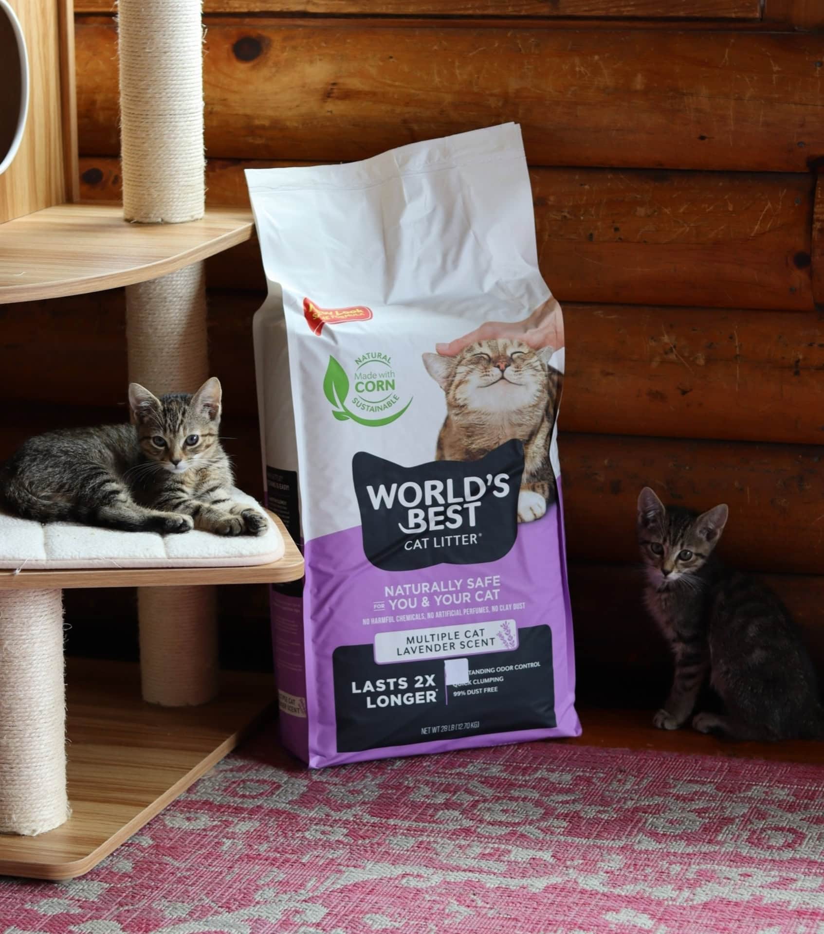 World’s Best Cat Litter made from whole-kernel corn, a sustainable pet brand offering biodegradable litter for multiple cats.