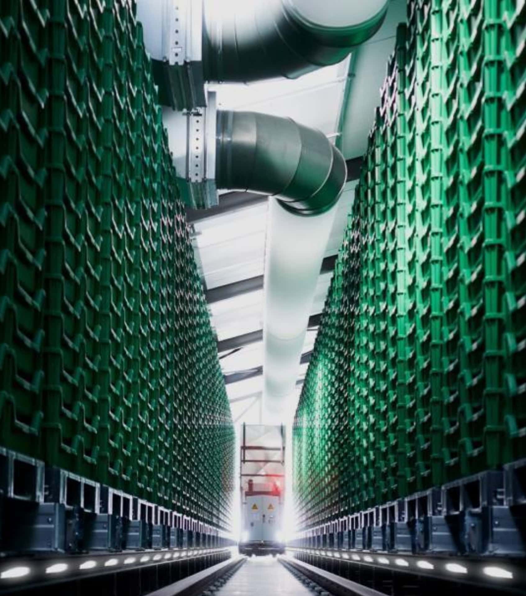 Image by Ÿnsect (sustainable-tech-companies) (2)