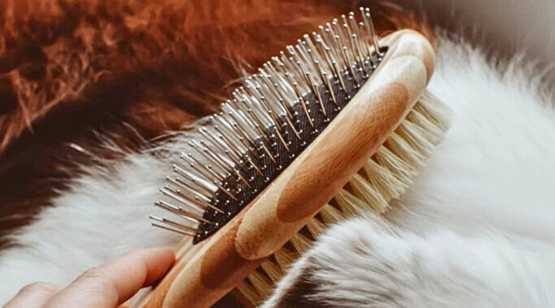 Image by Zefiro (bamboo-pet-products)
