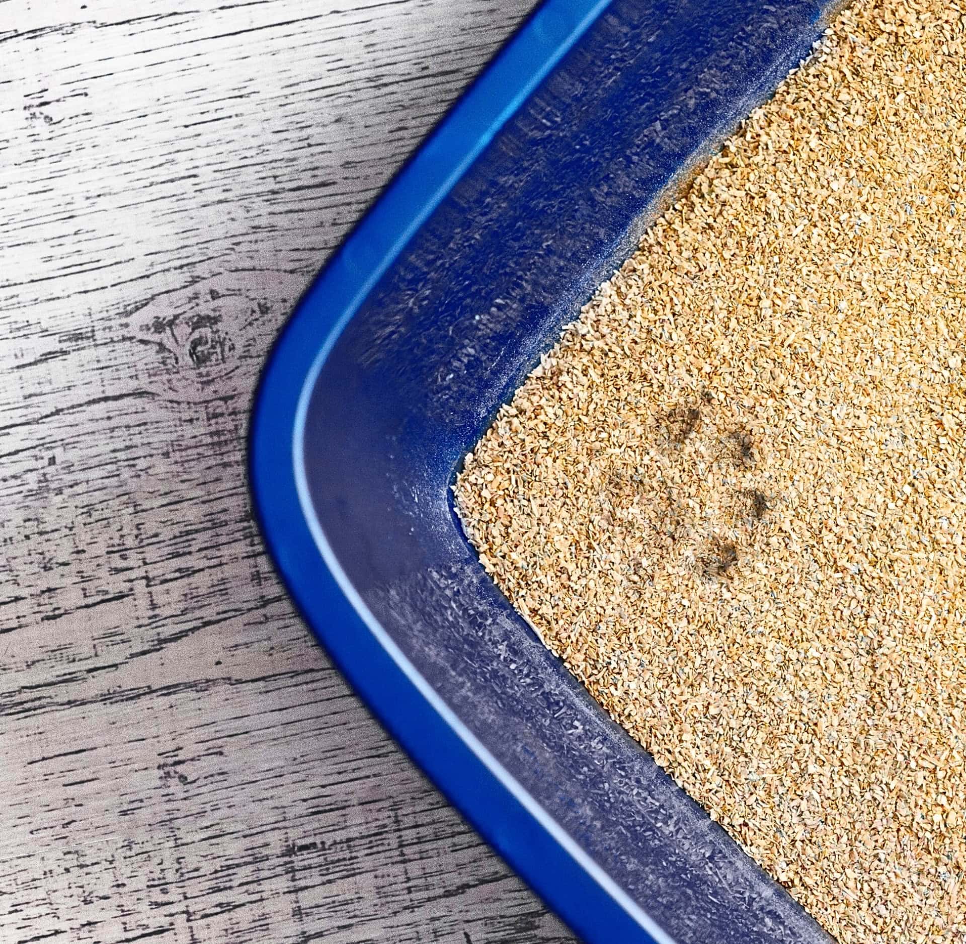 Image by ökocat (eco-friendly-cat-litter)