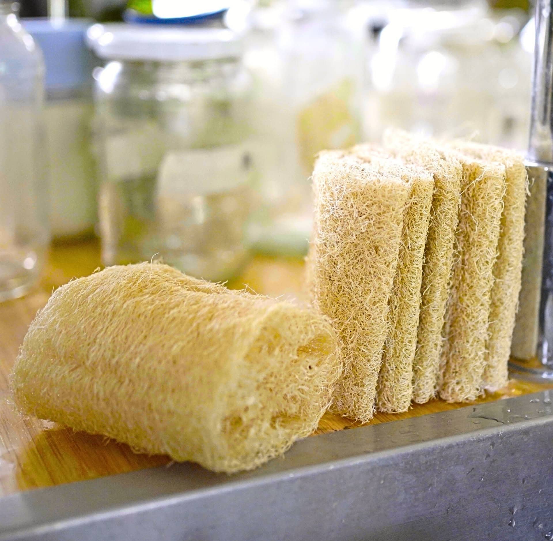 Image by zerowastestore.com (eco-friendly-loofahs)