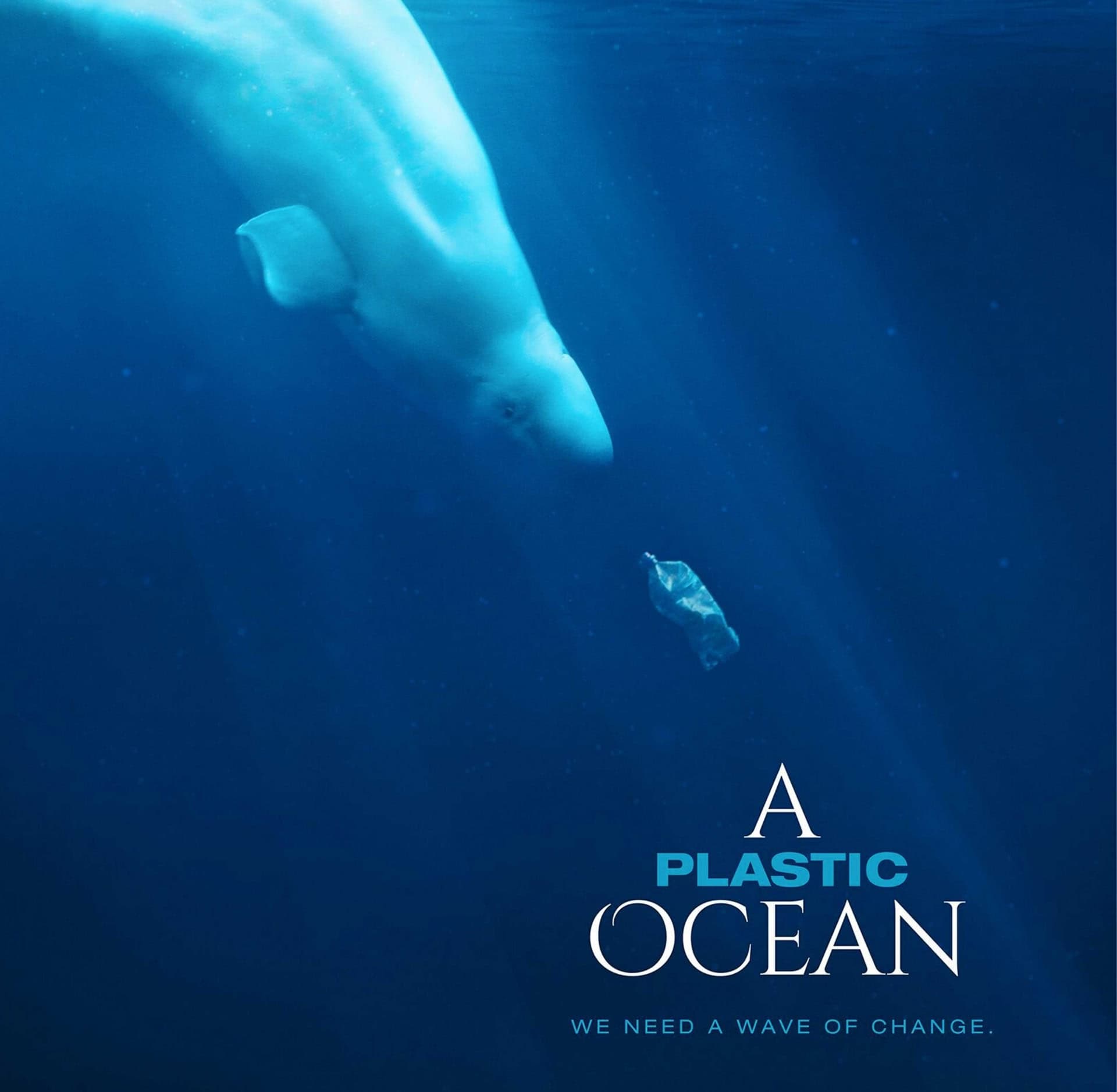 Image by A Plastic Ocean (best-environmental-films)