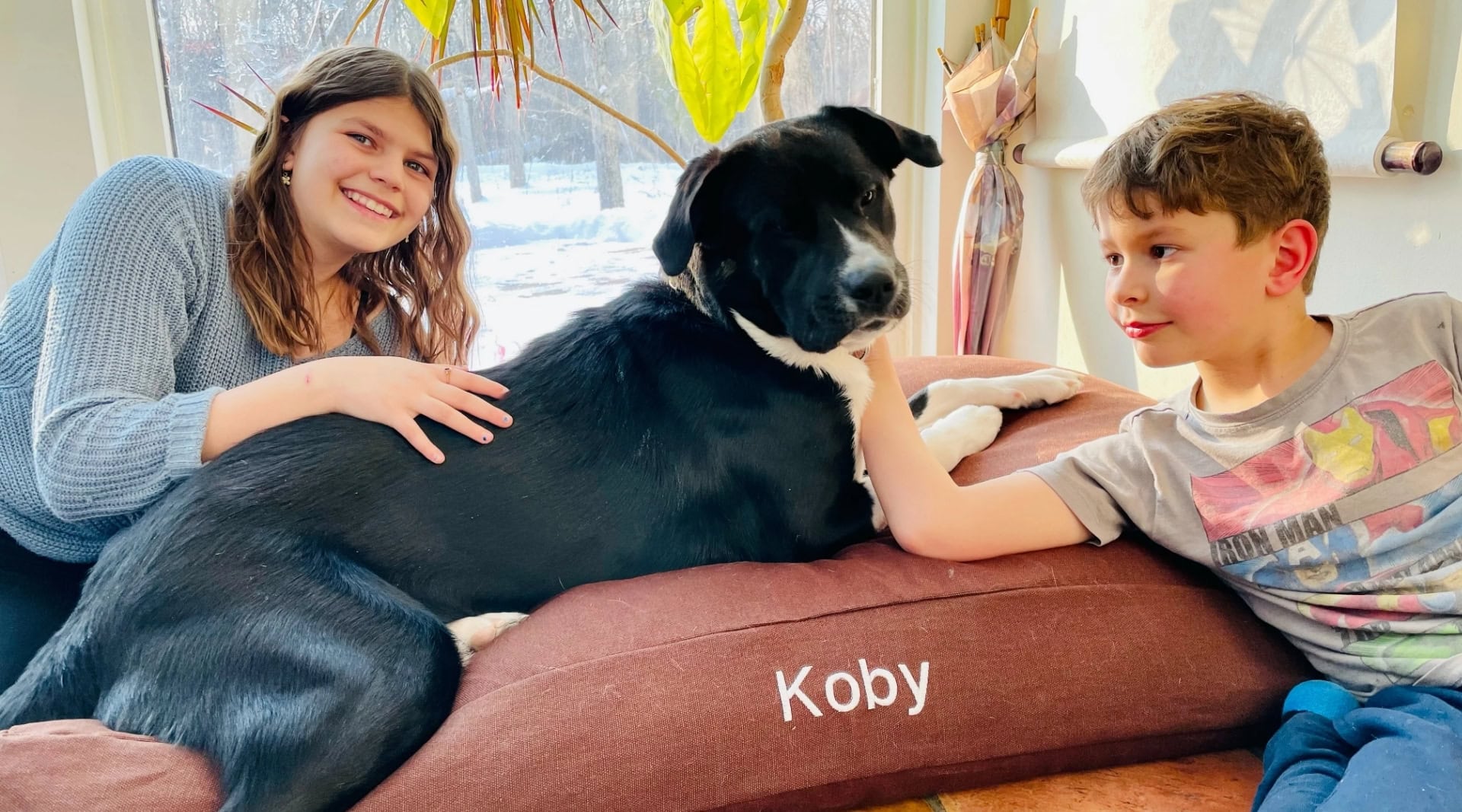 Image by Bean Products (eco-friendly-dog-beds)