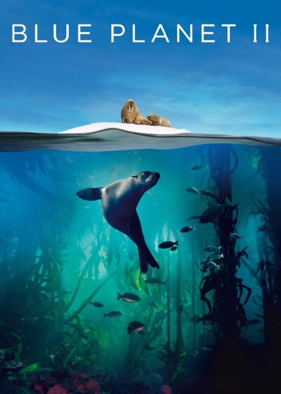 Image by Blue Planet II (zero-waste-documentary)