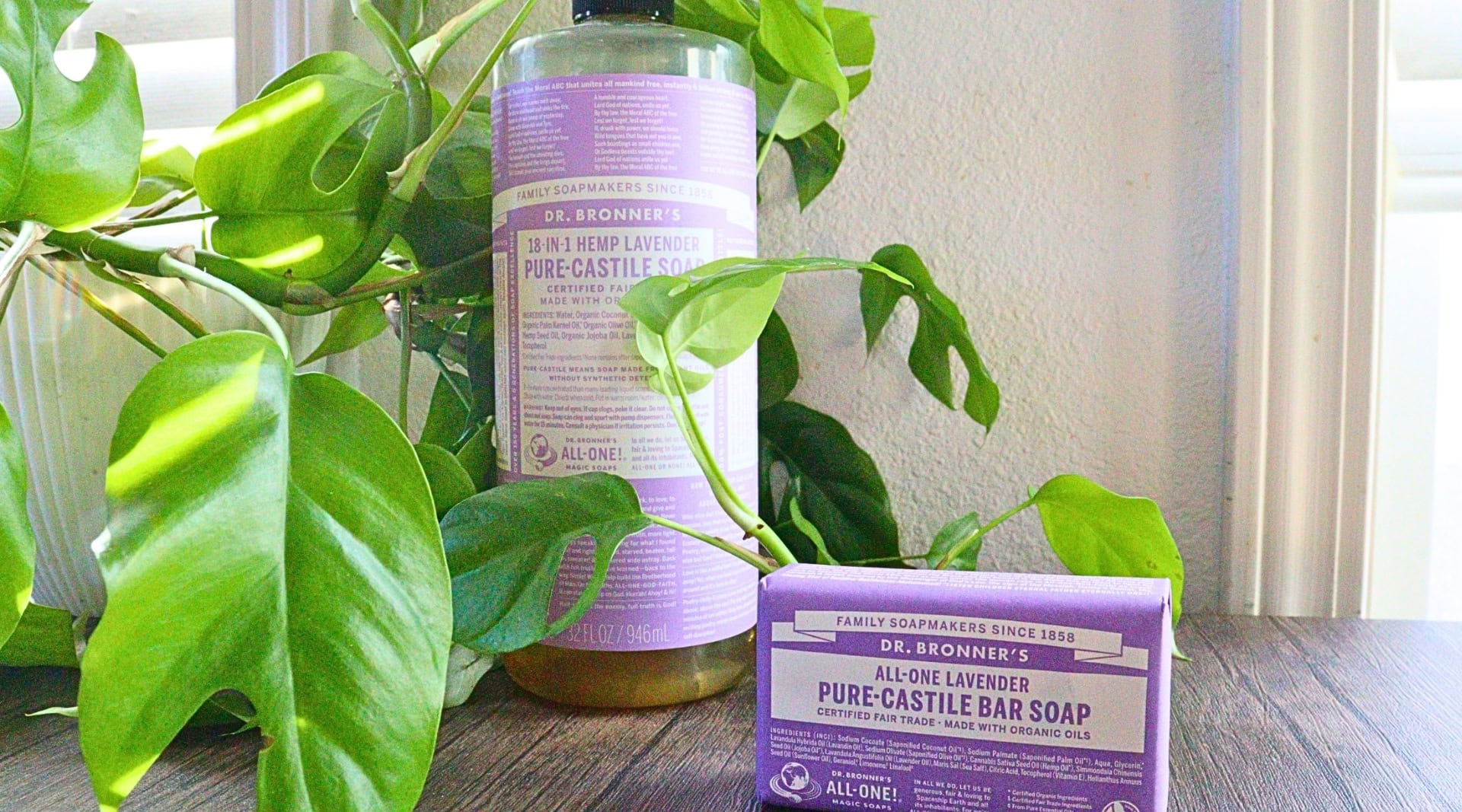 Image by Dr Bronner’s (zero-waste-laundry-detergent)