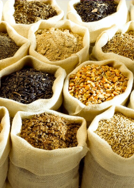 Image by Precycle (zero-waste-stores-nyc)