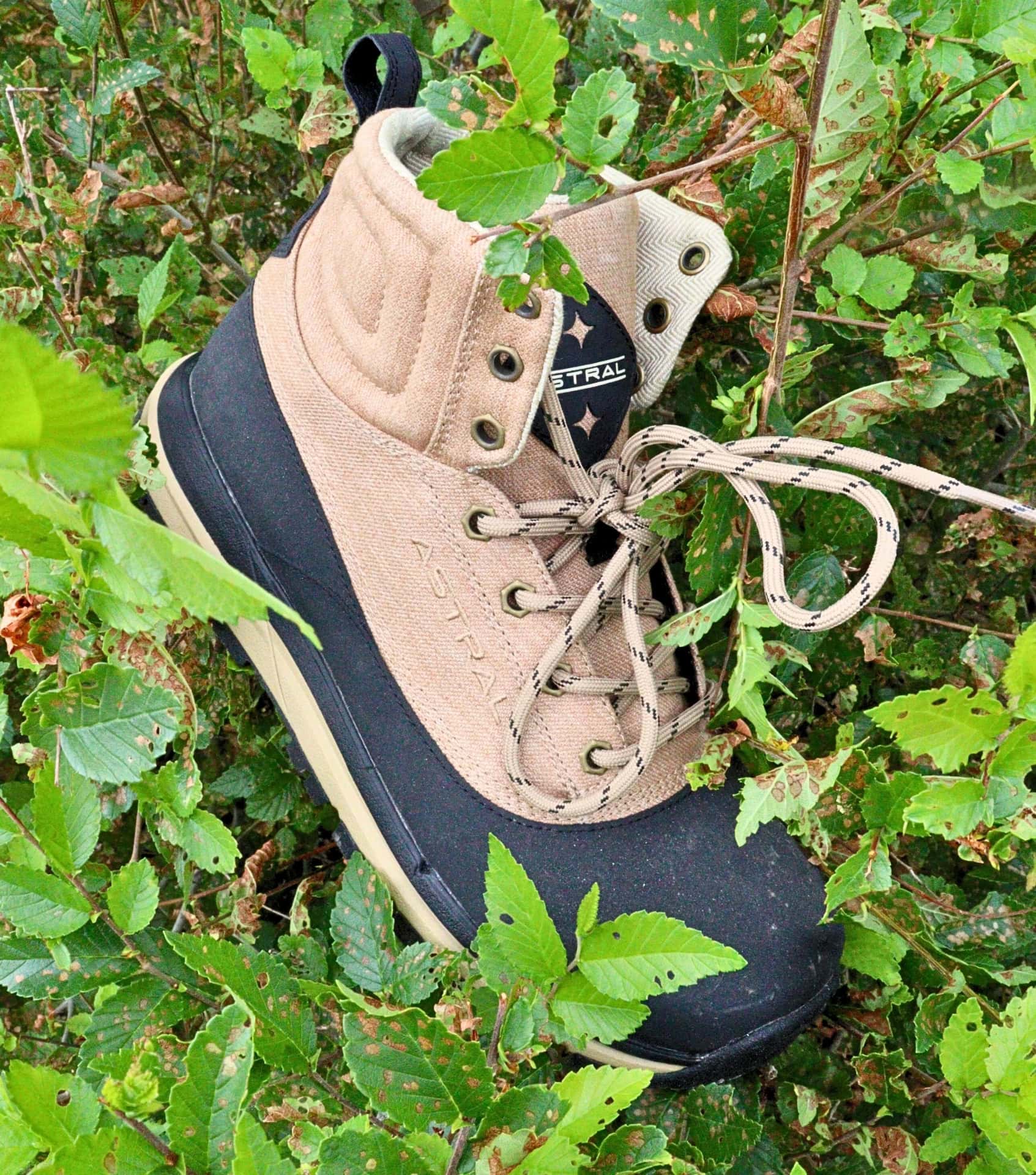 Image by Sustainable Jungle (Astral) (Hemp-Shoes-2024) (2)