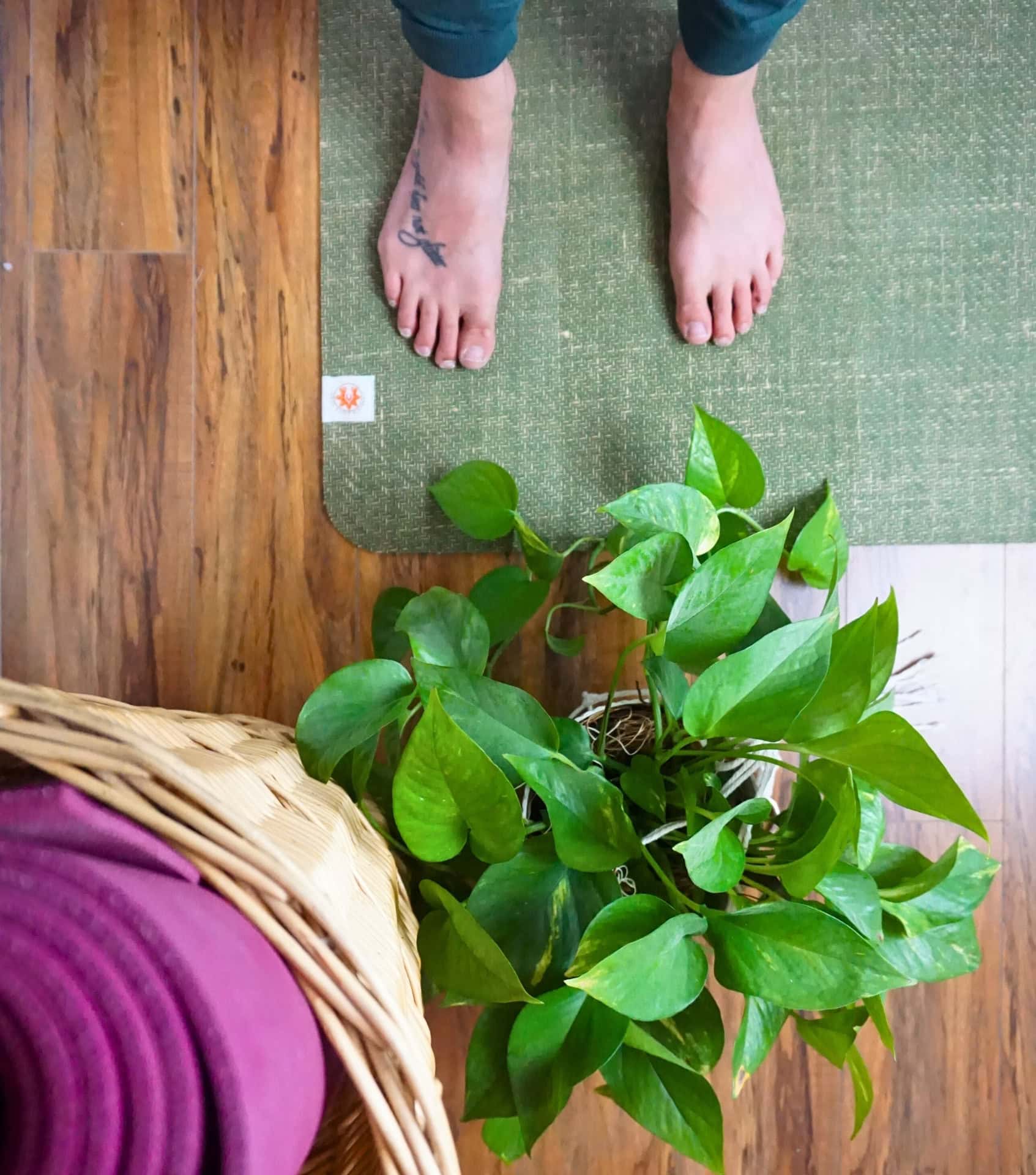 Image by Sustainable Jungle (Complete Unity Yoga) (eco-friendly-gifts) (2)