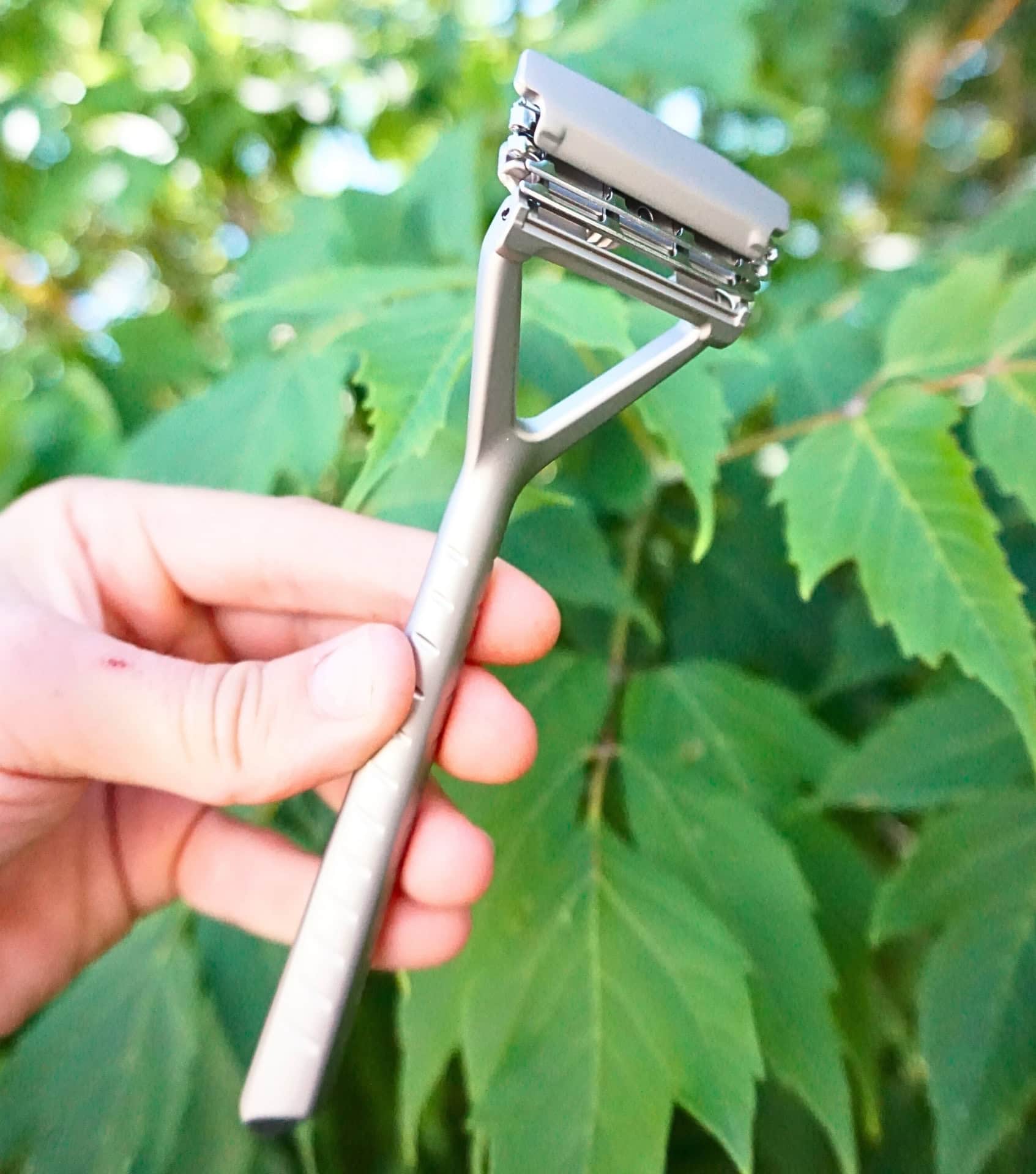 Image by Sustainable Jungle (Leaf Shave) (eco-friendly-gifts)