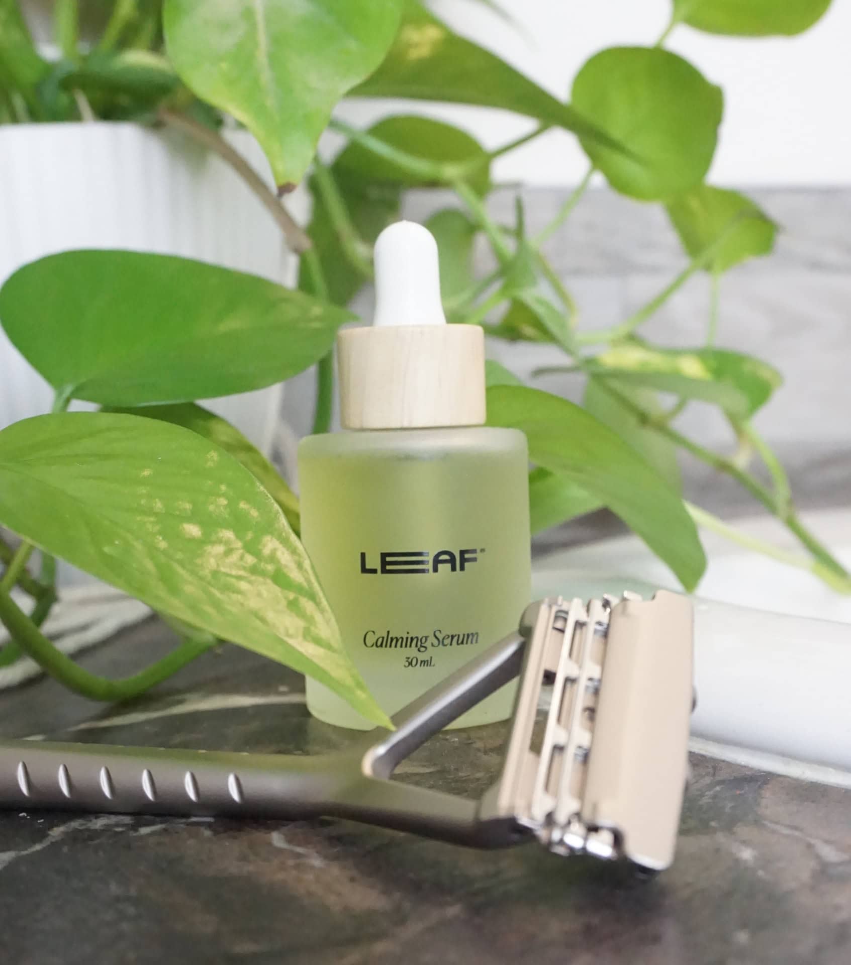 Image by Sustainable Jungle (Leaf Shave) (sustainable-gifts-for-him)