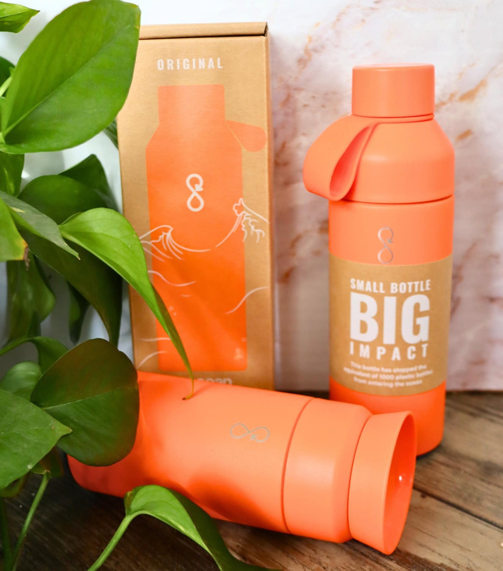 Image by Sustainable Jungle (Ocean Bottle) (eco-friendly-gifts) (2)
