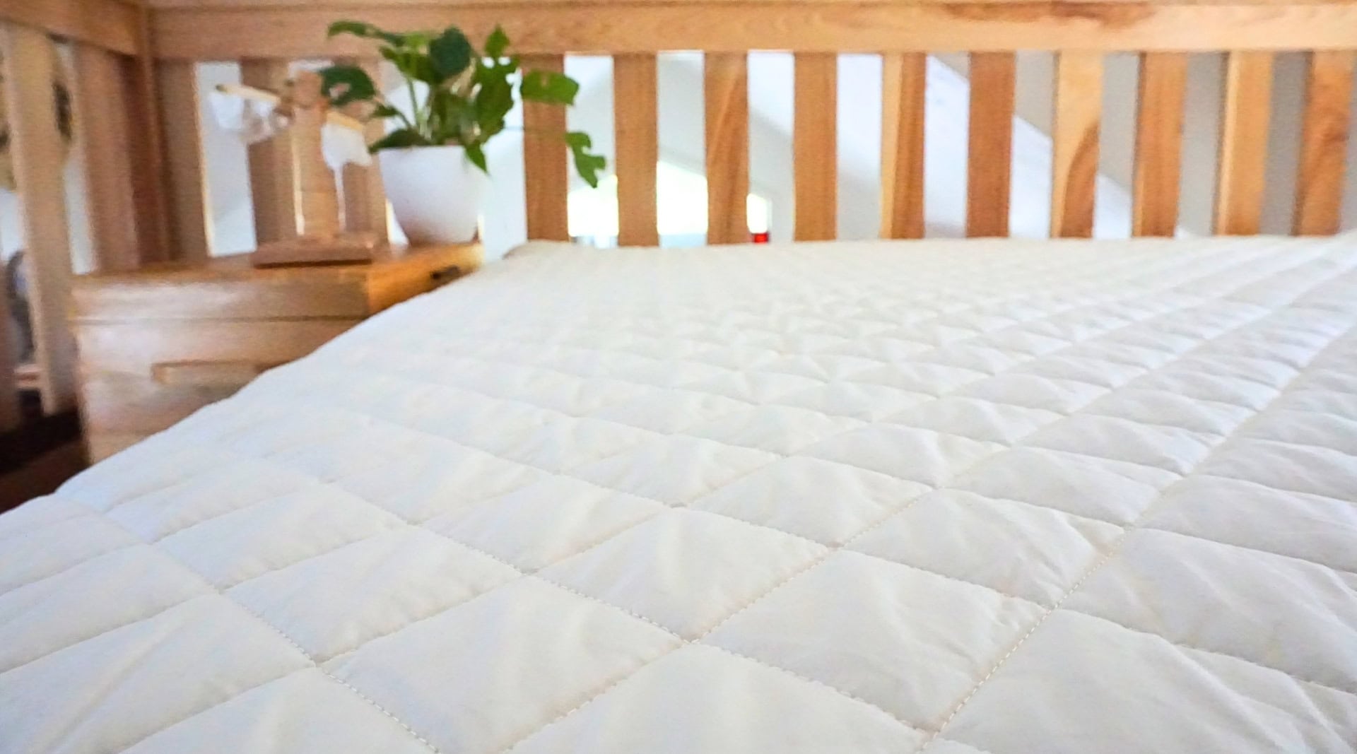 Image by Sustainable Jungle (PlushBeds) (organic-mattress-protectors)