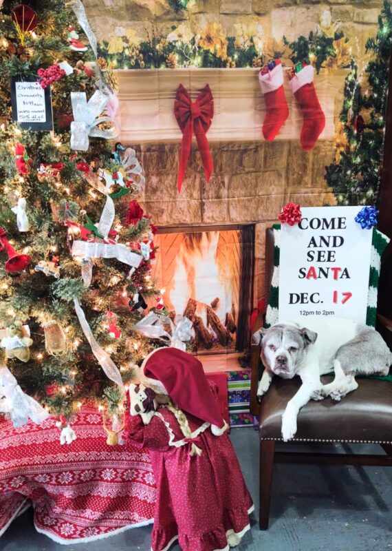 Image by The Vine Thrift Store (thrift-stores-tampa)