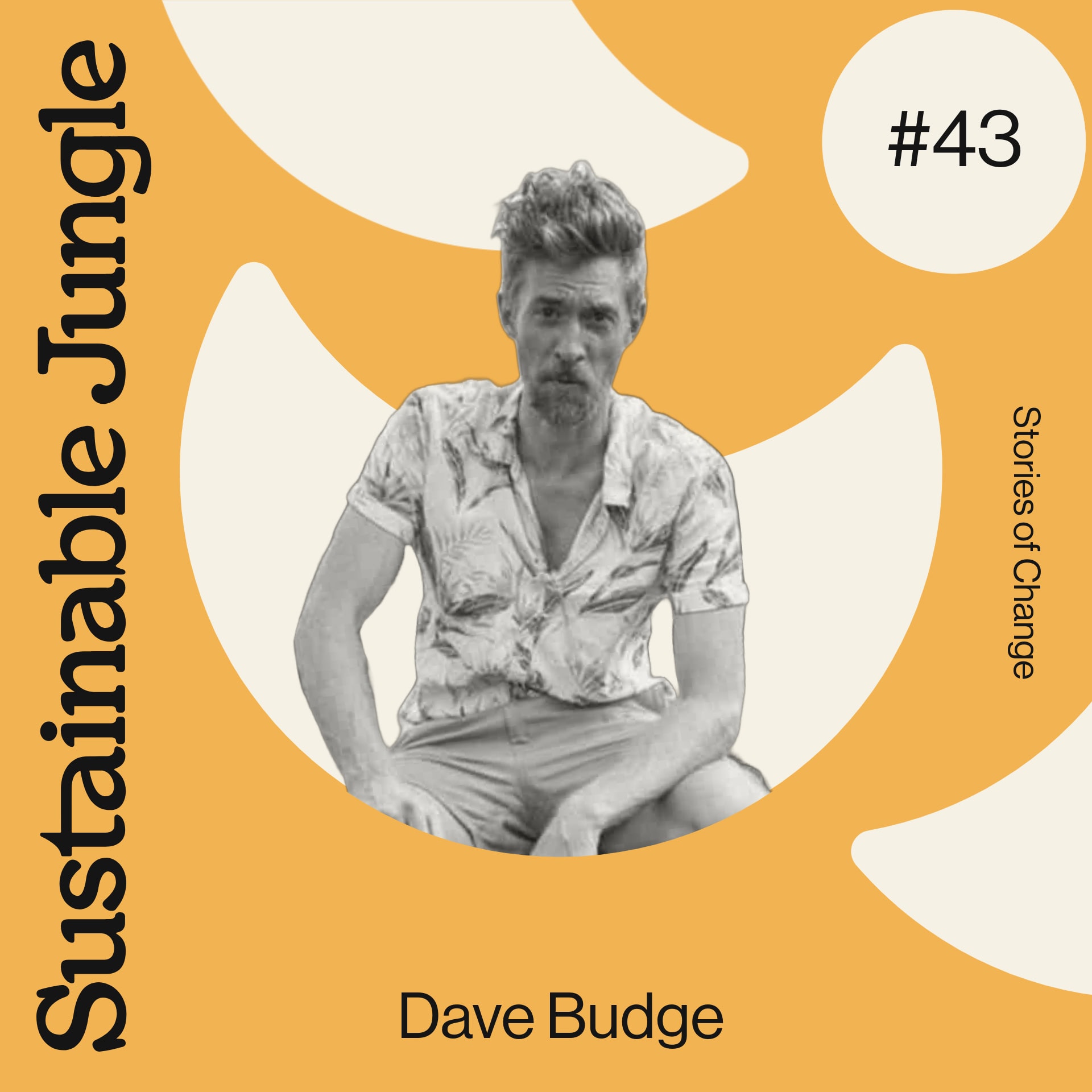 Dave Budge