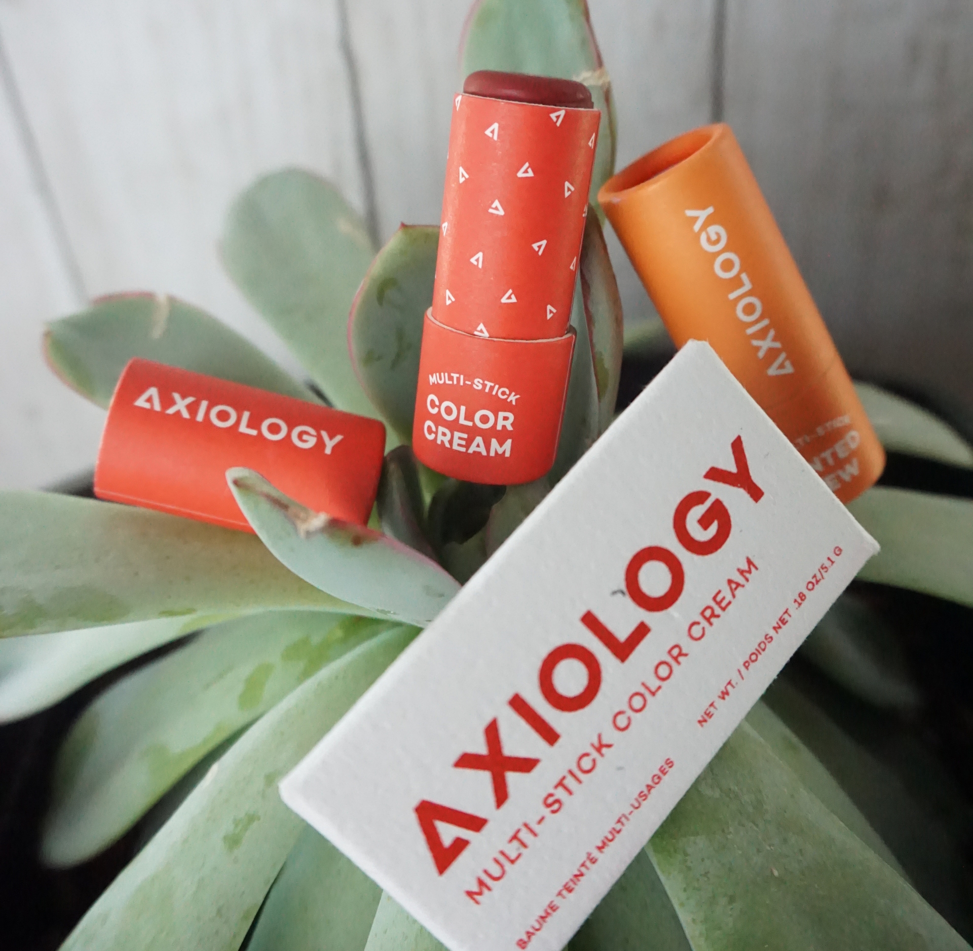 Image by Sustainable Jungle (Axiology) (best sustainable beauty brands)