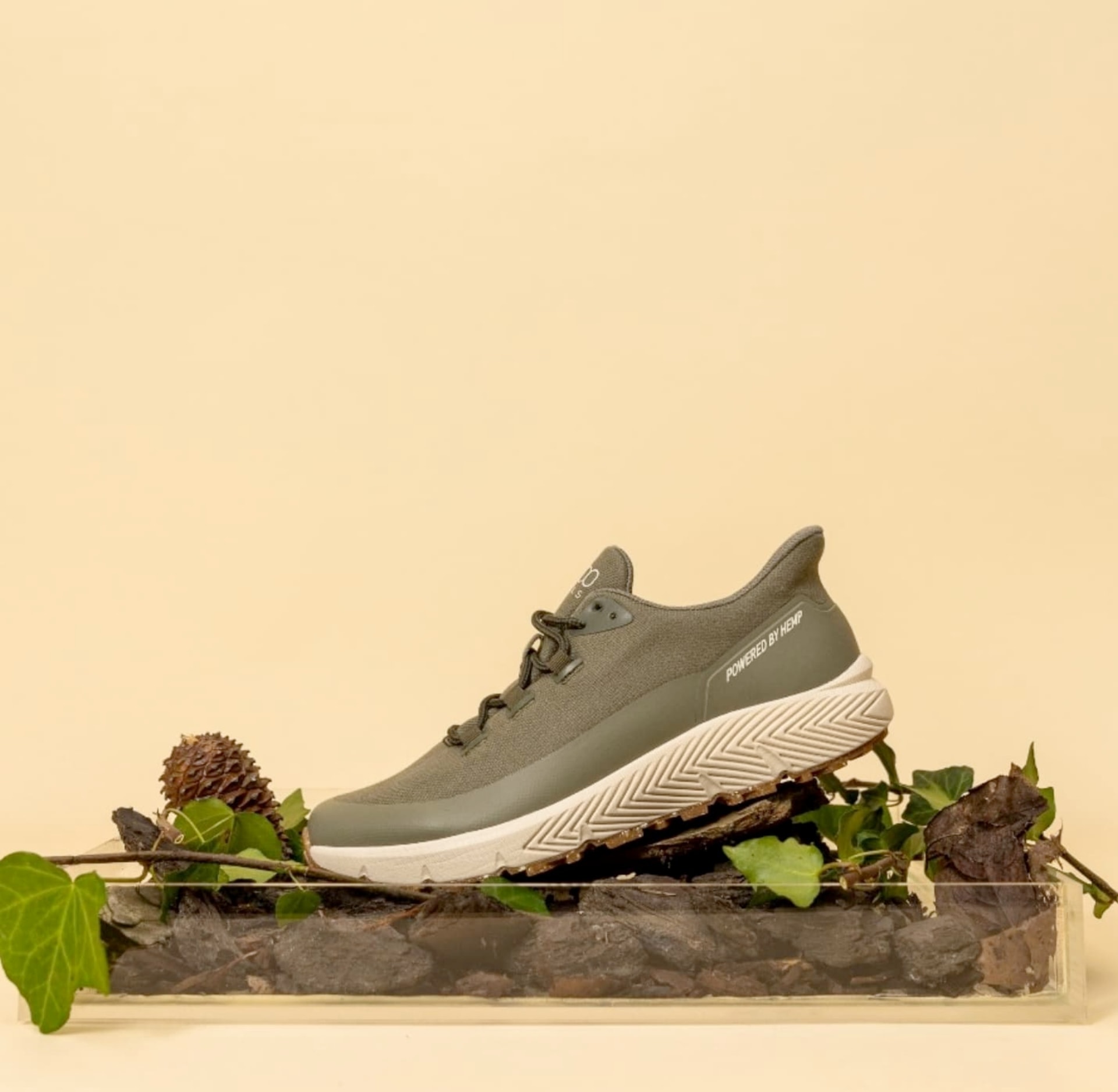 Image by 8000Kicks -8000Kicks Review and Rating