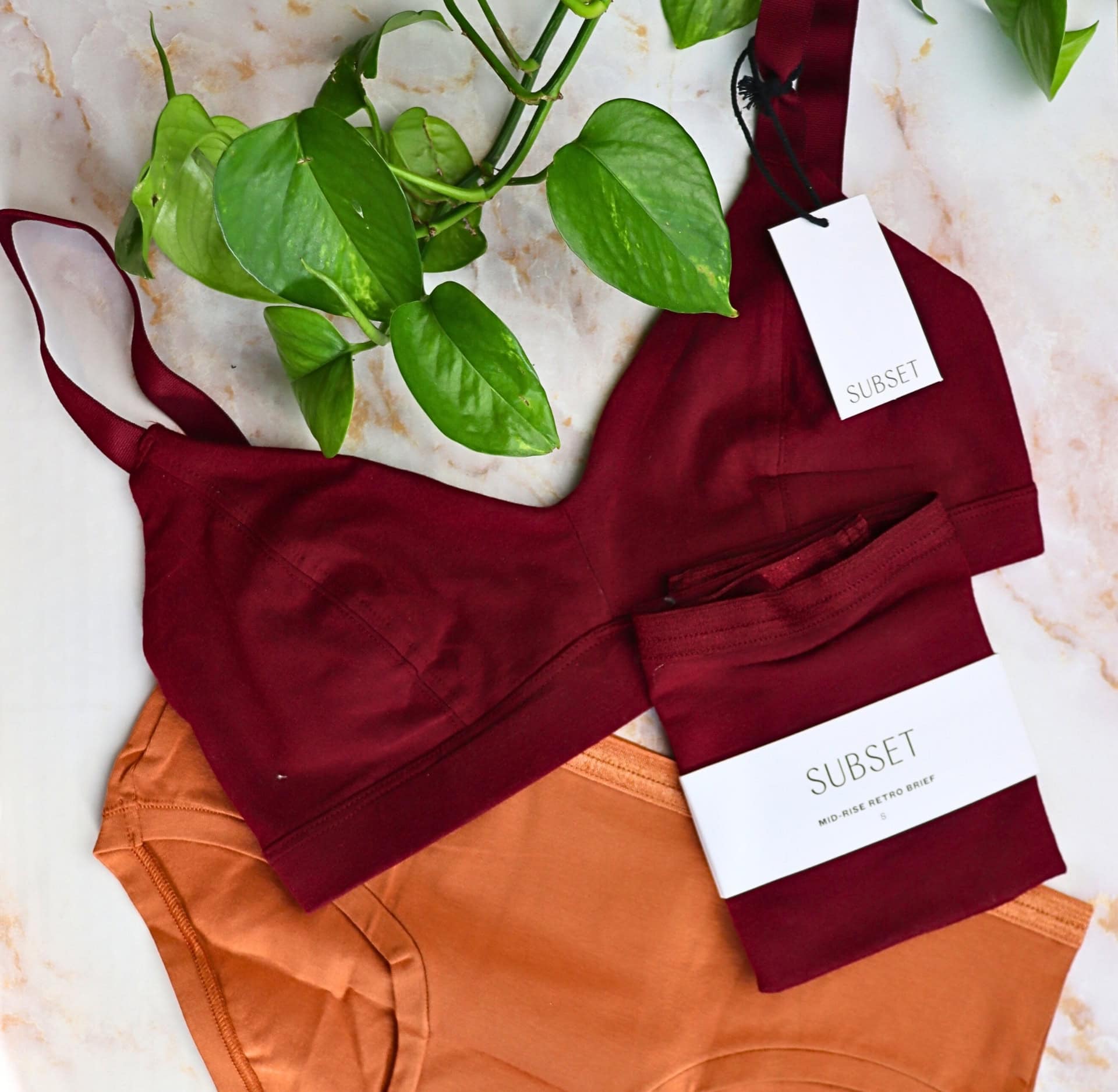 Image by Sustainable Jungle (Subset) (non-toxic and organic underwear brands)