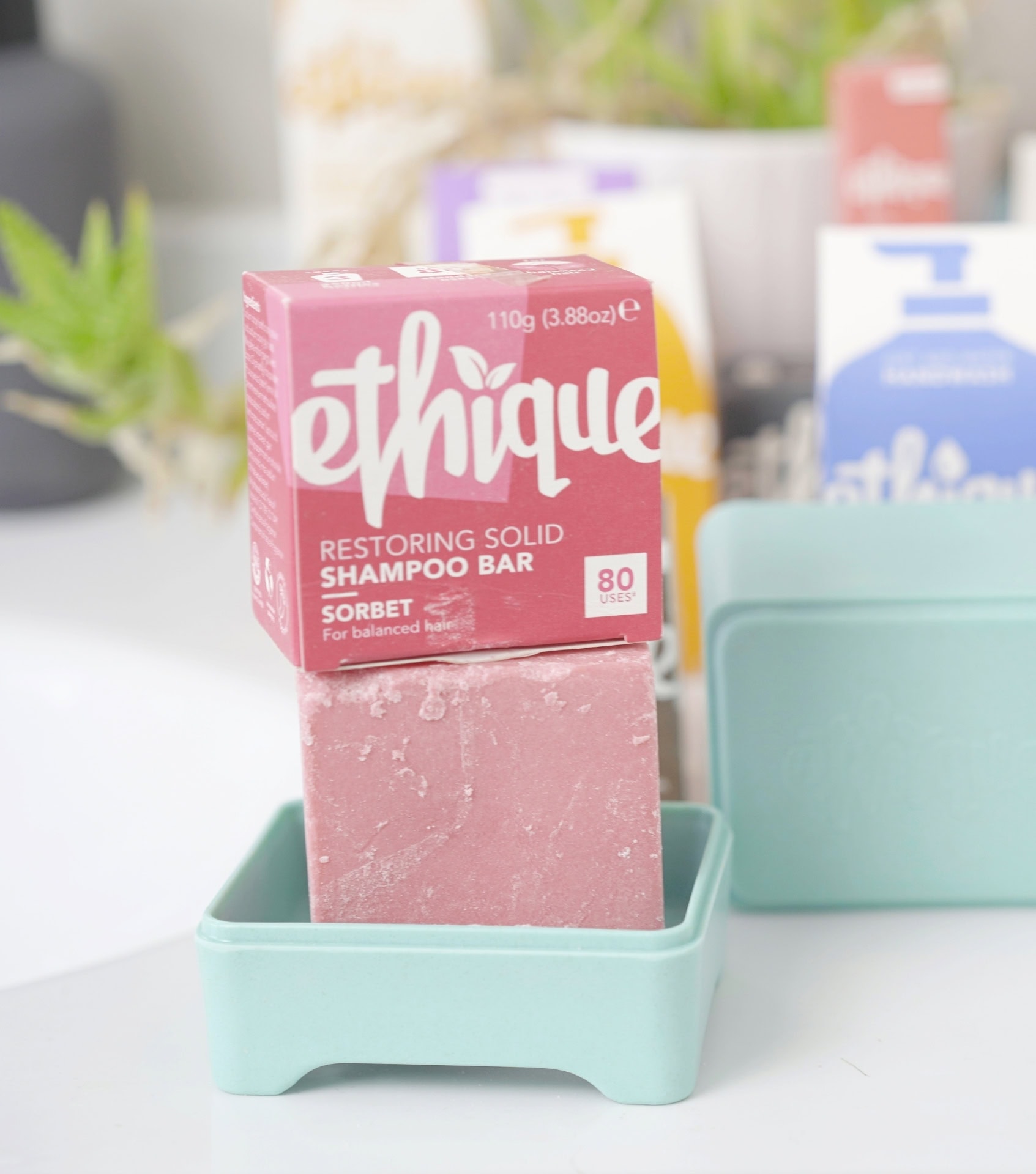Image by Sustainable Jungle - Ethique (zero waste bathroom )