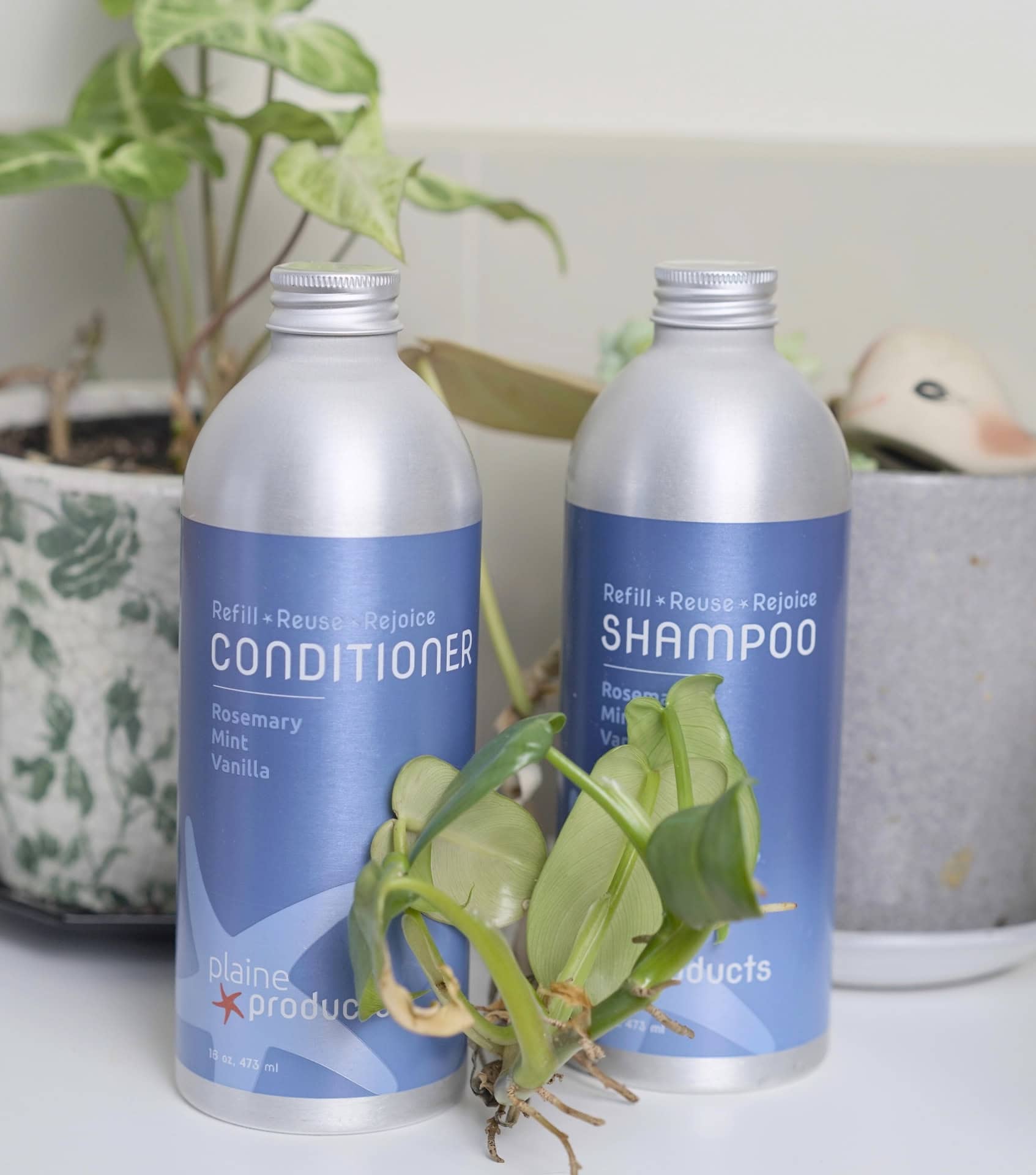 Image by Sustainable Jungle - Plaine Products (zero waste shampoo and conditioner)