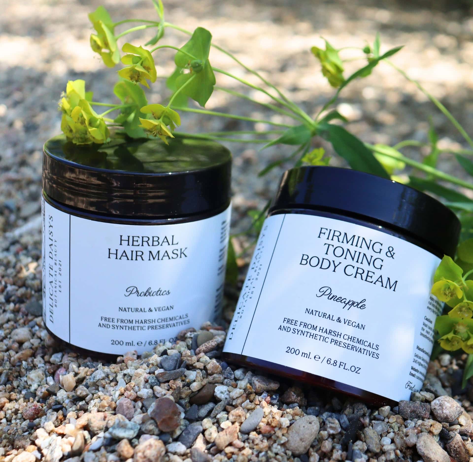 Image by Sustainable Jungle - Delicate Daisys - Rating & Review