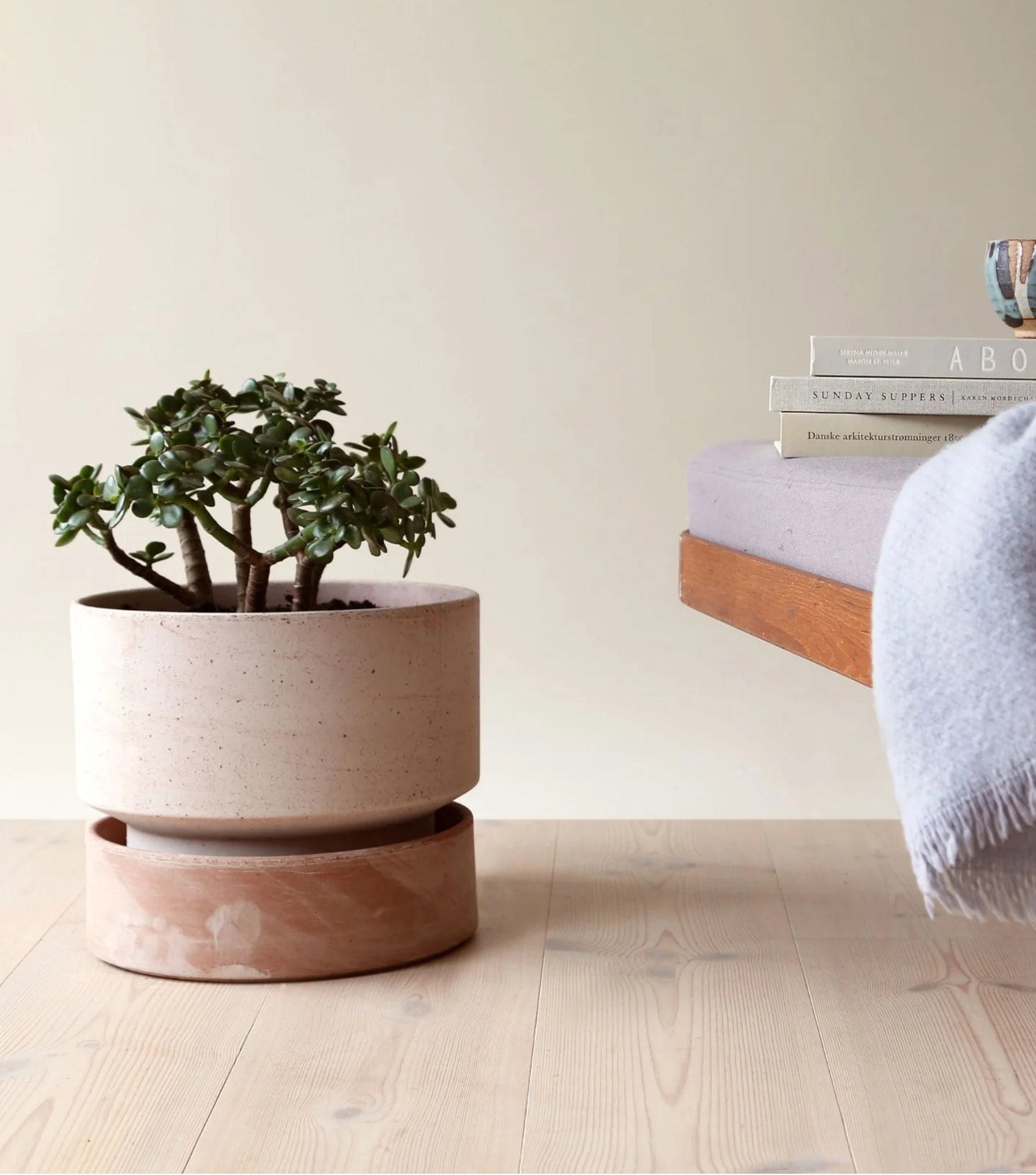 Eco-friendly home goods by Goodee with minimalist ceramic planter and wooden shelf